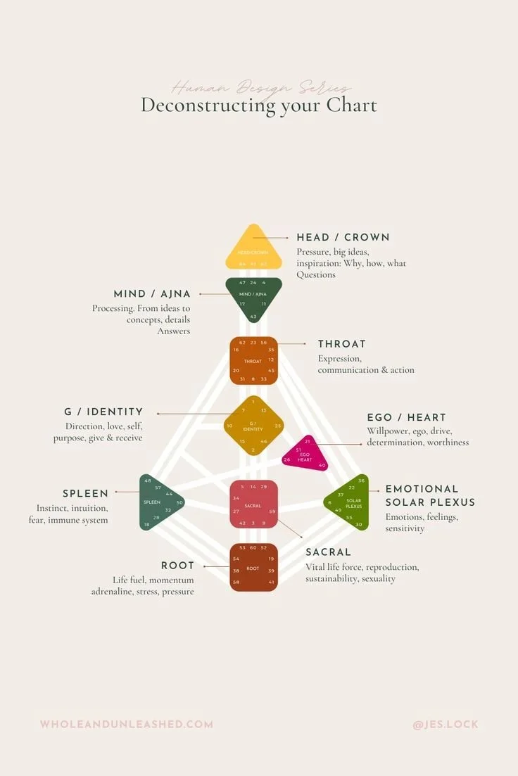 Human Design Orientation