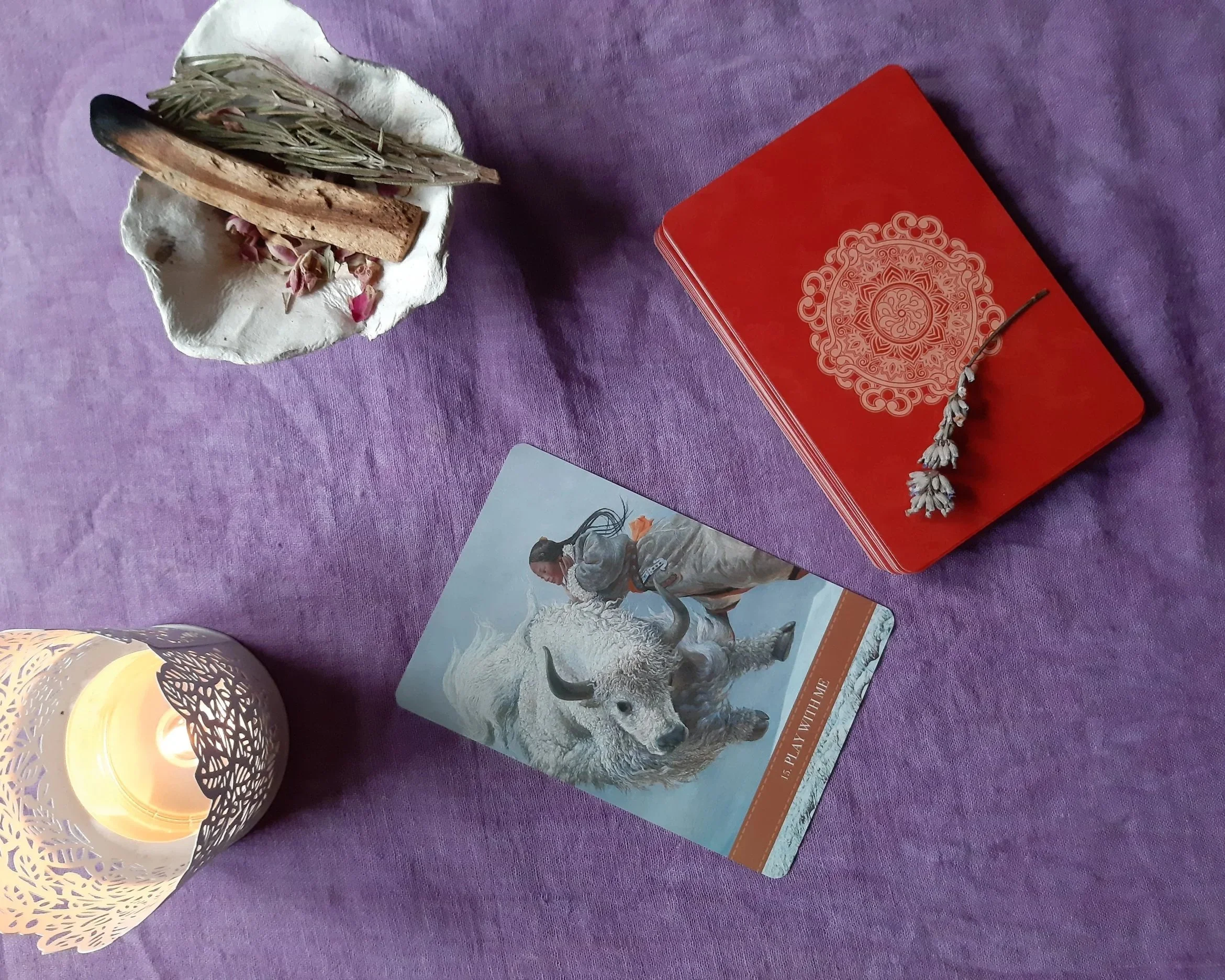 Card Divination