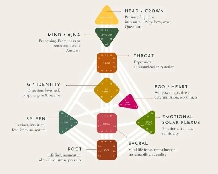 The+9+Centers+in+Human+Design.jpg