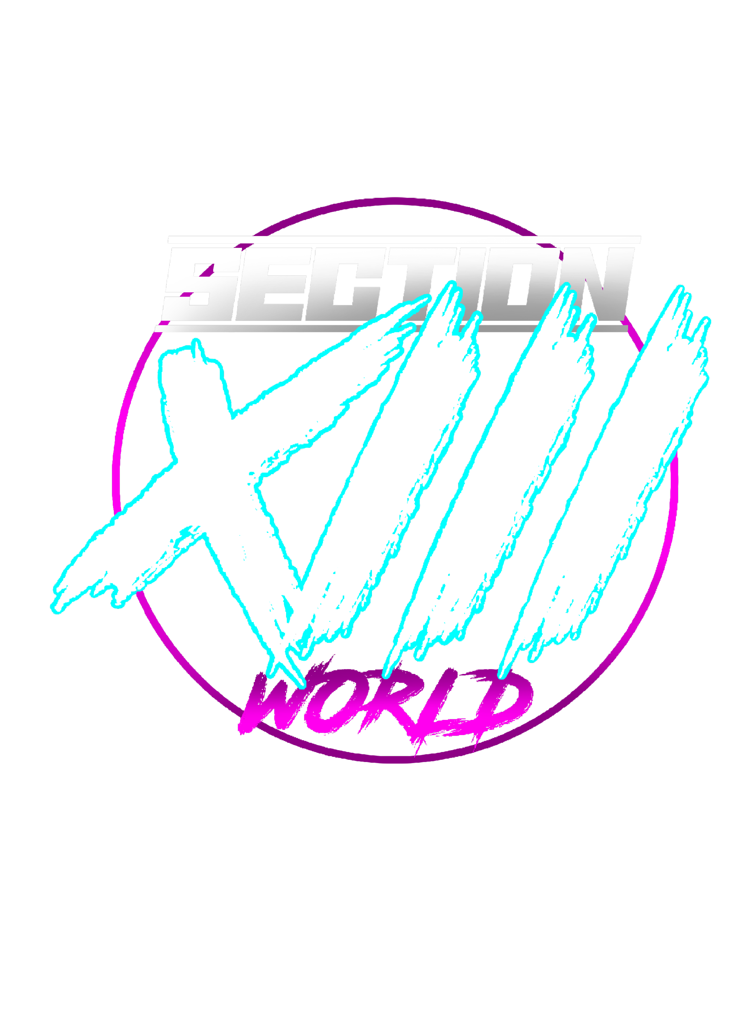 Section XIII World drift culture and automotive lifestyle brand logo