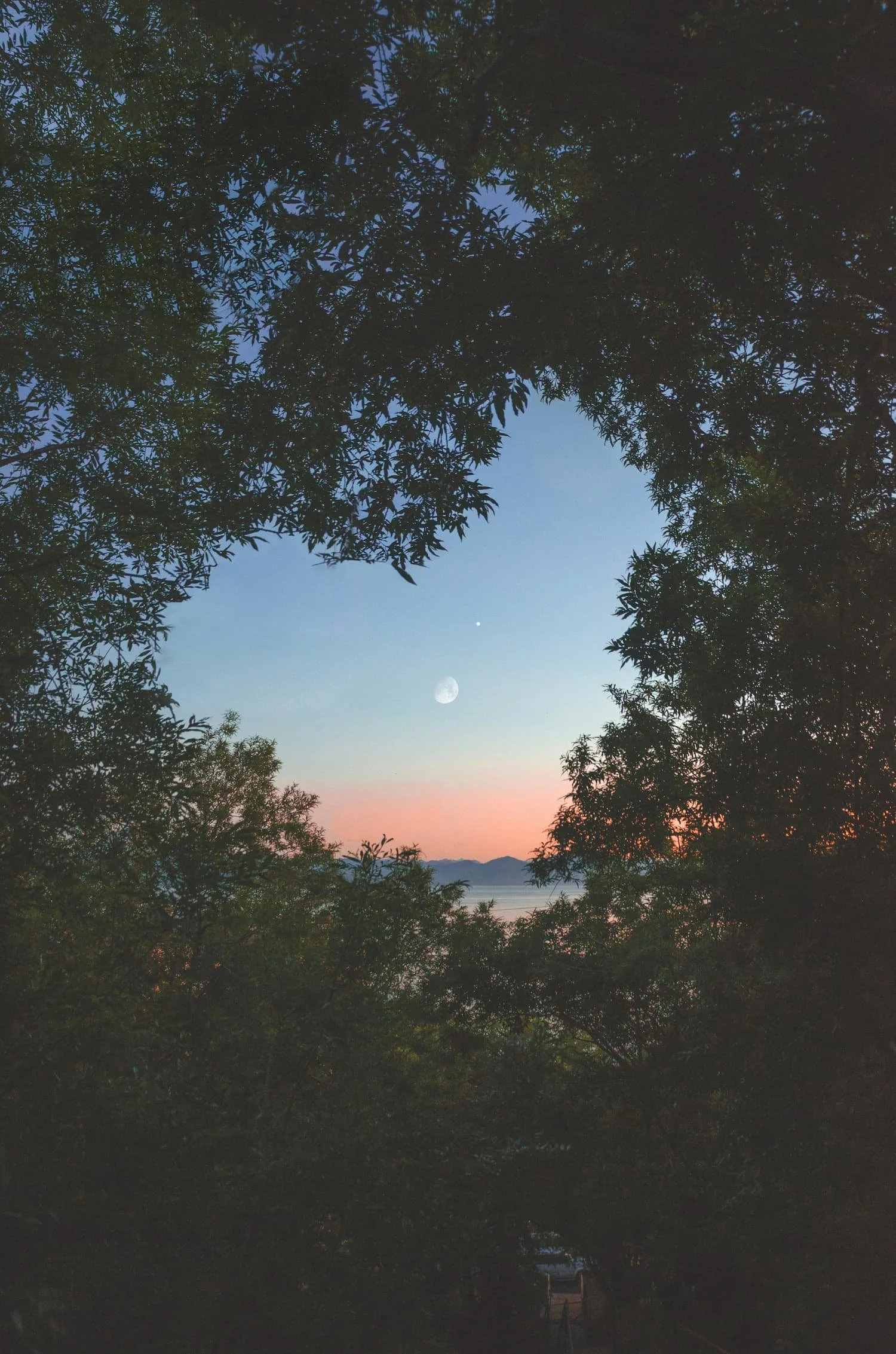 A view of the sky at dusk or dawn with the moon visible, framed by trees in a heart shape.