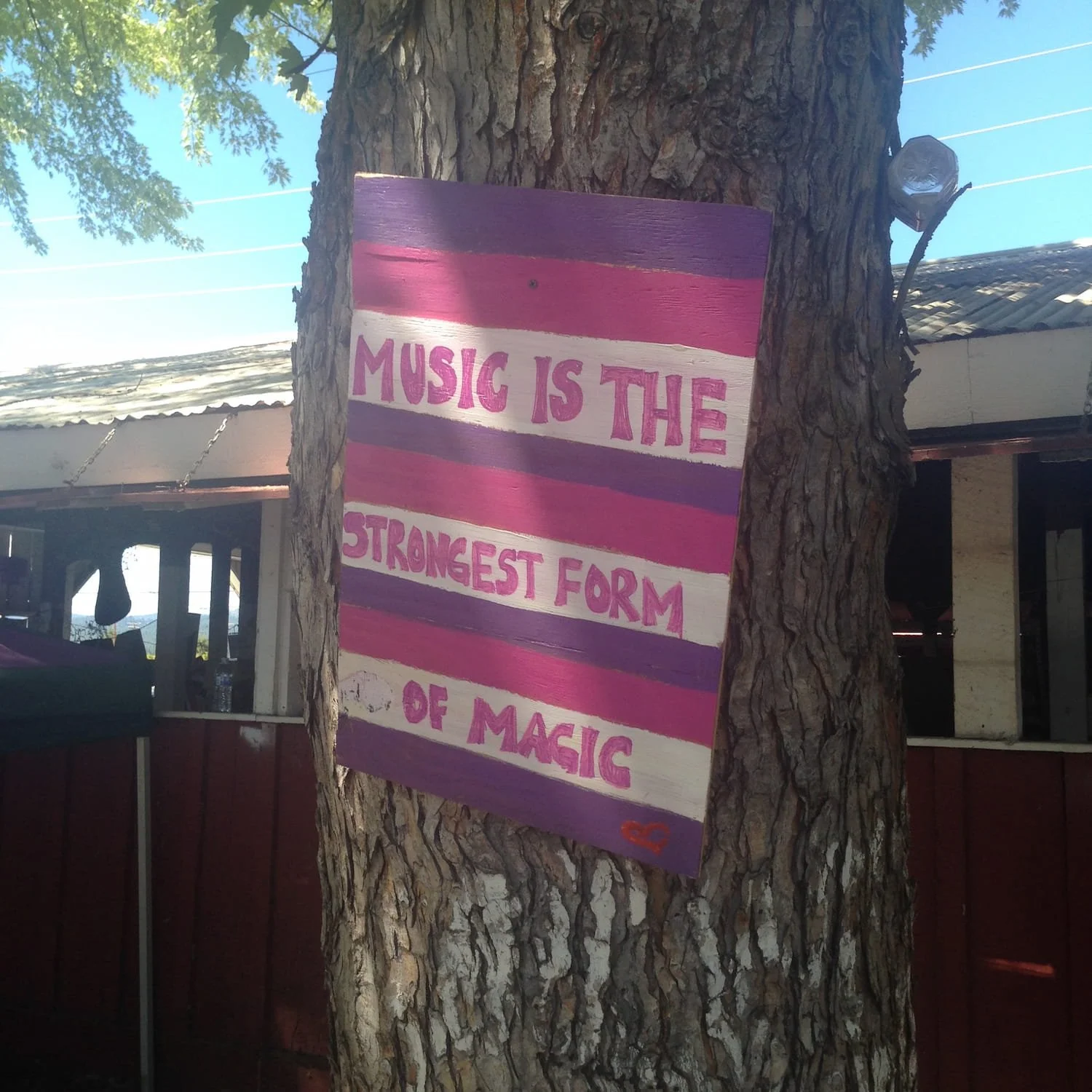 A painted sign on a tree with the text "Music is the strongest form of magic" in purple and white stripes.
