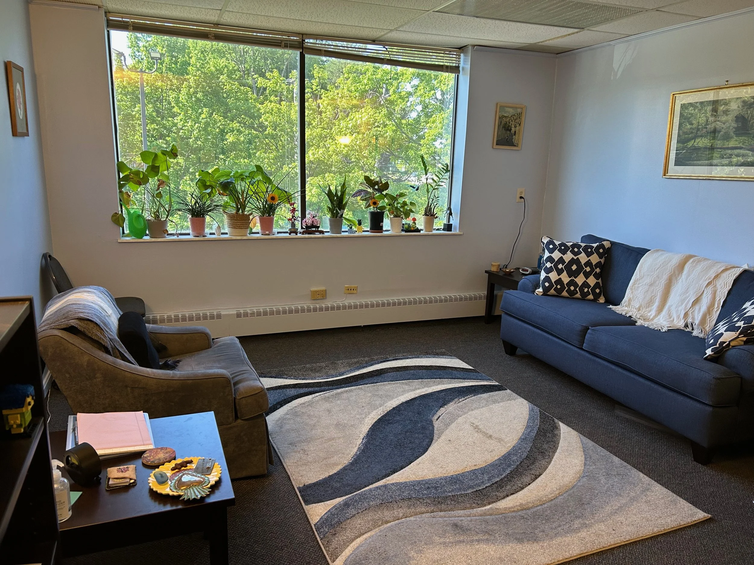 A living room with a large window overlooking lush green trees. The window sill holds various potted plants. There is a dark blue sofa with patterned cushions, a side table with small decorative items, and a patterned rug on the carpeted floor.