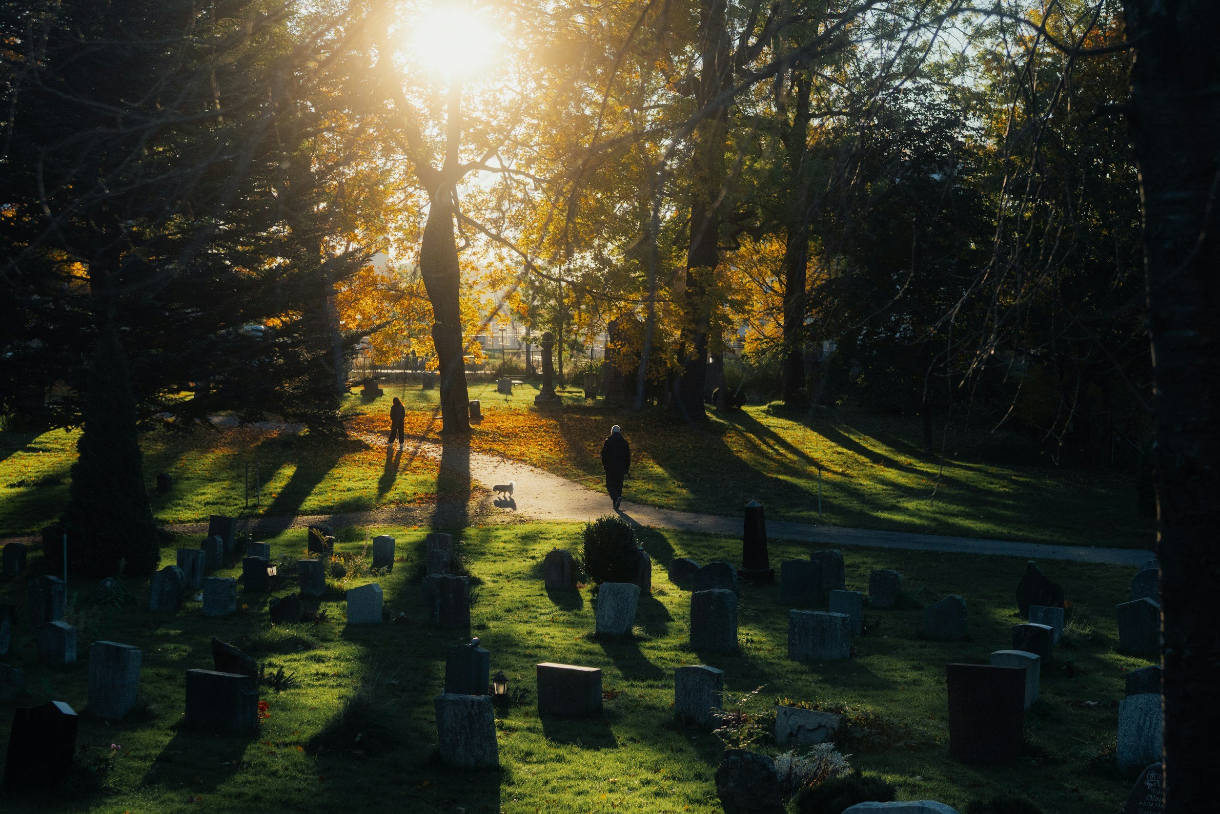 Why the Death Positive Movement Matters