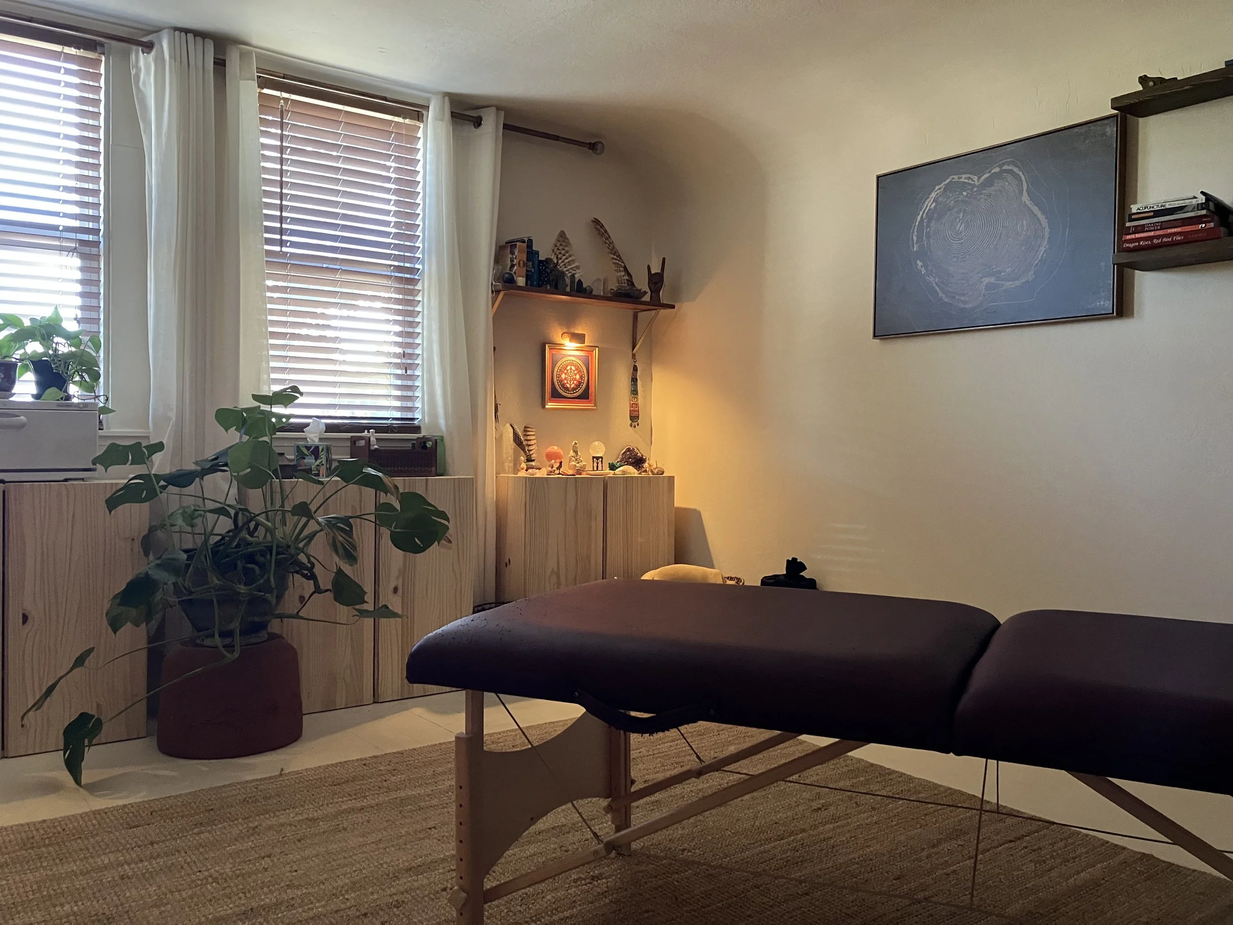 A cozy living room corner with two large windows with white curtains, a wooden cabinet with plants and decorations, a framed artwork on the wall, and a dark brown lounge chair placed on a beige rug.