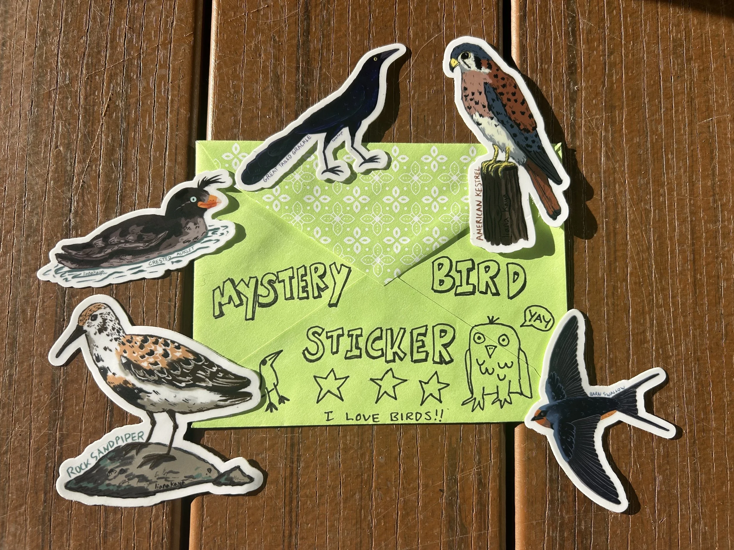 Mystery Bird Sticker!