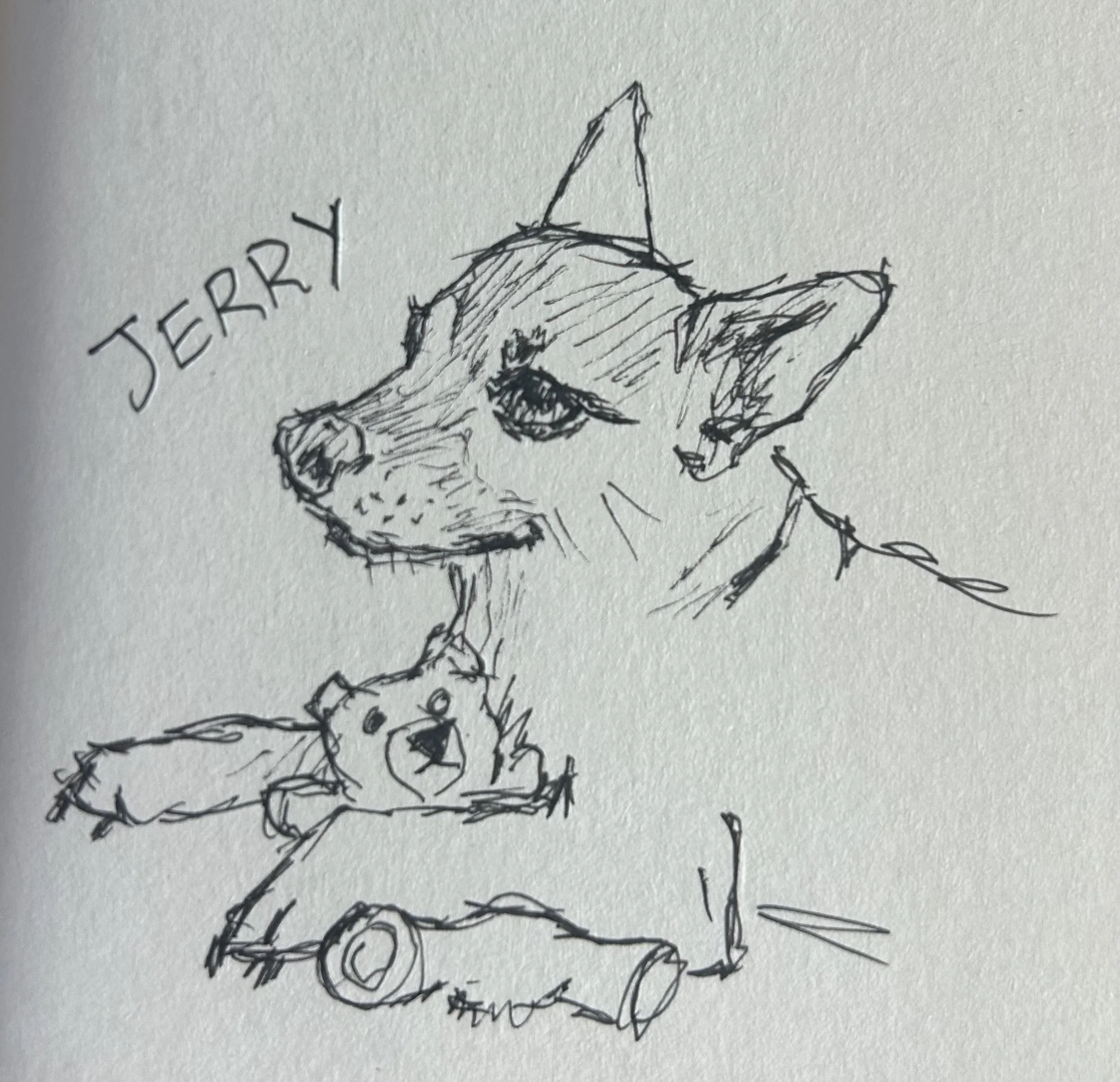 Pet Doodle!!