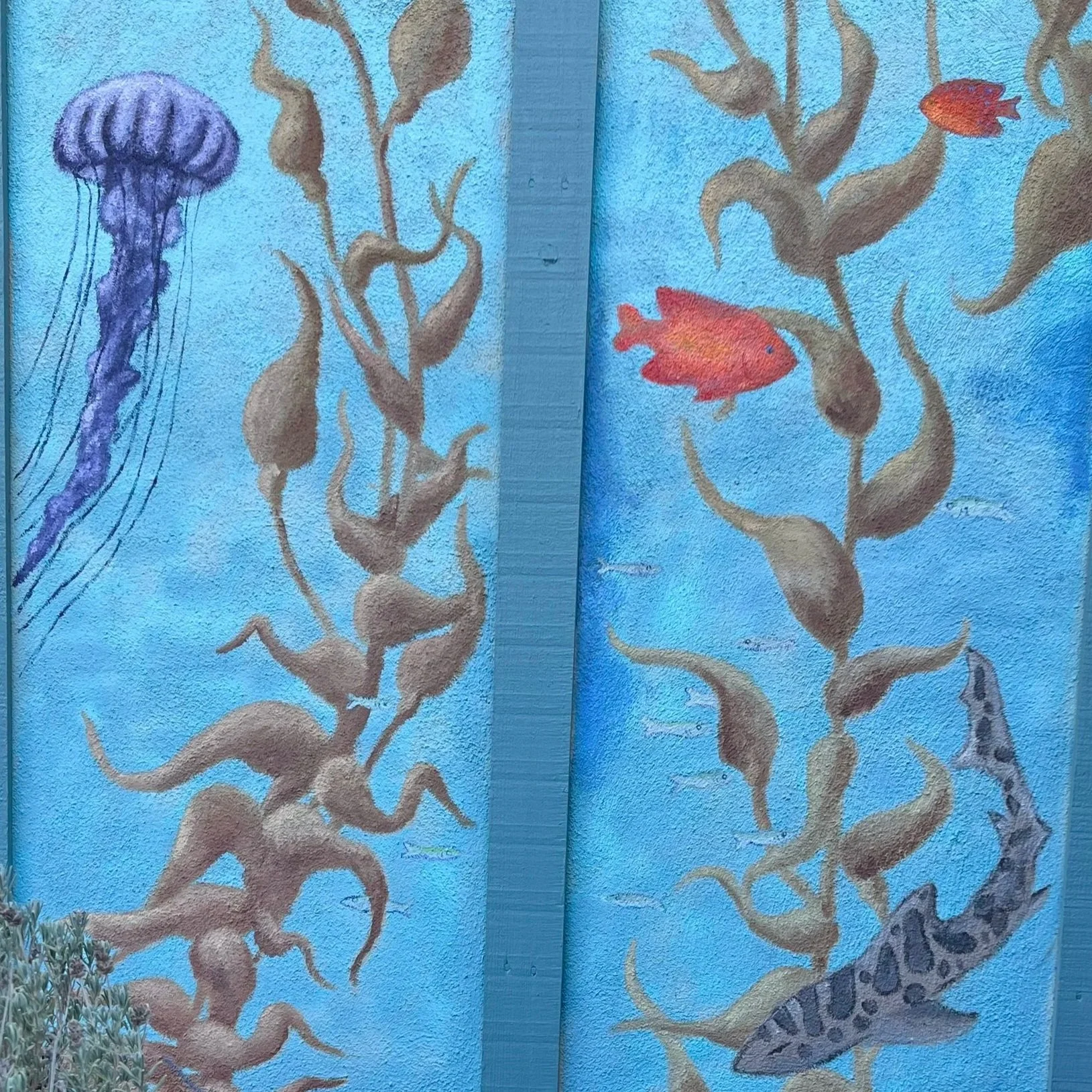 kelp forest mural