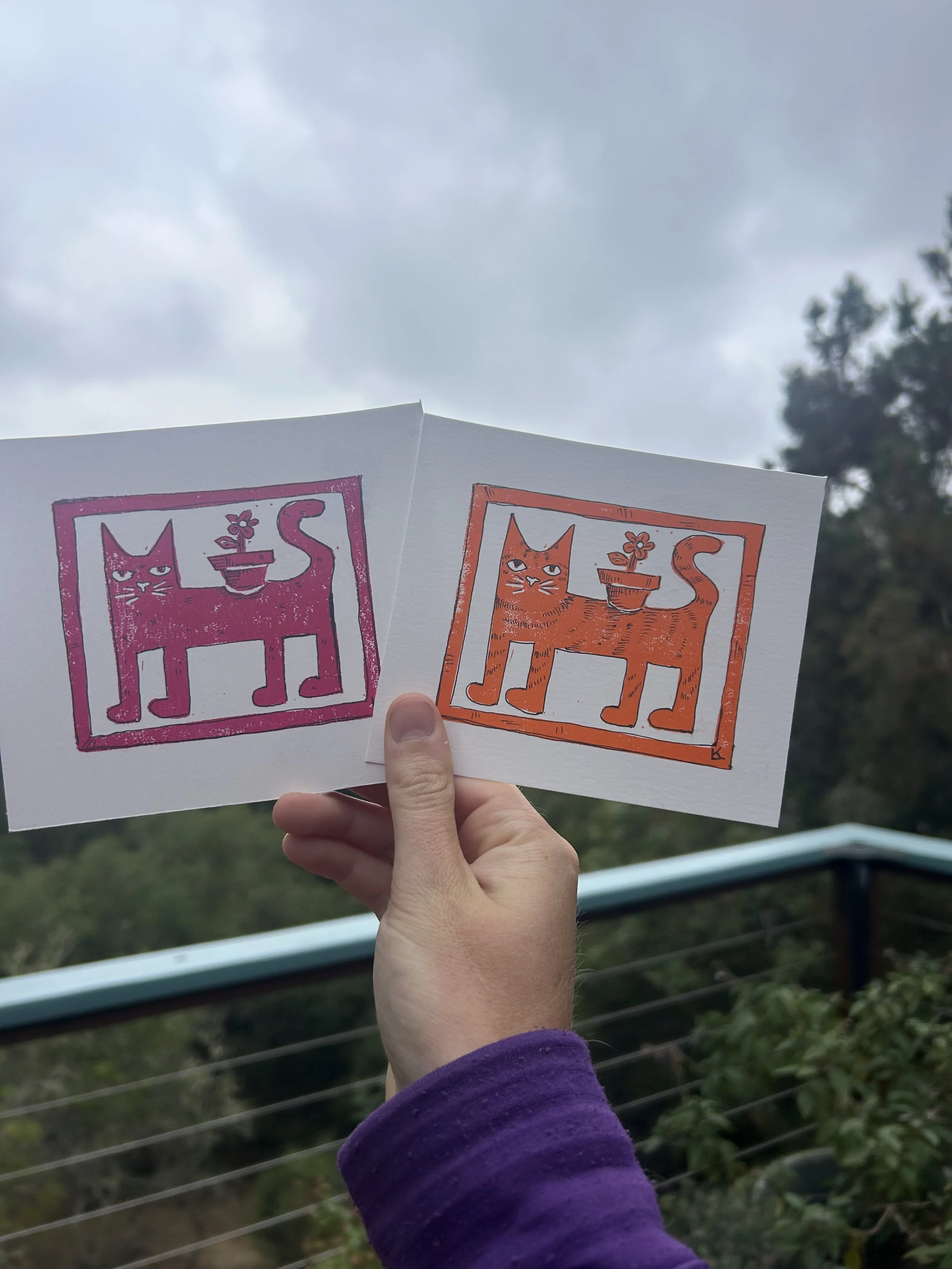 IMG_8246.jpeg