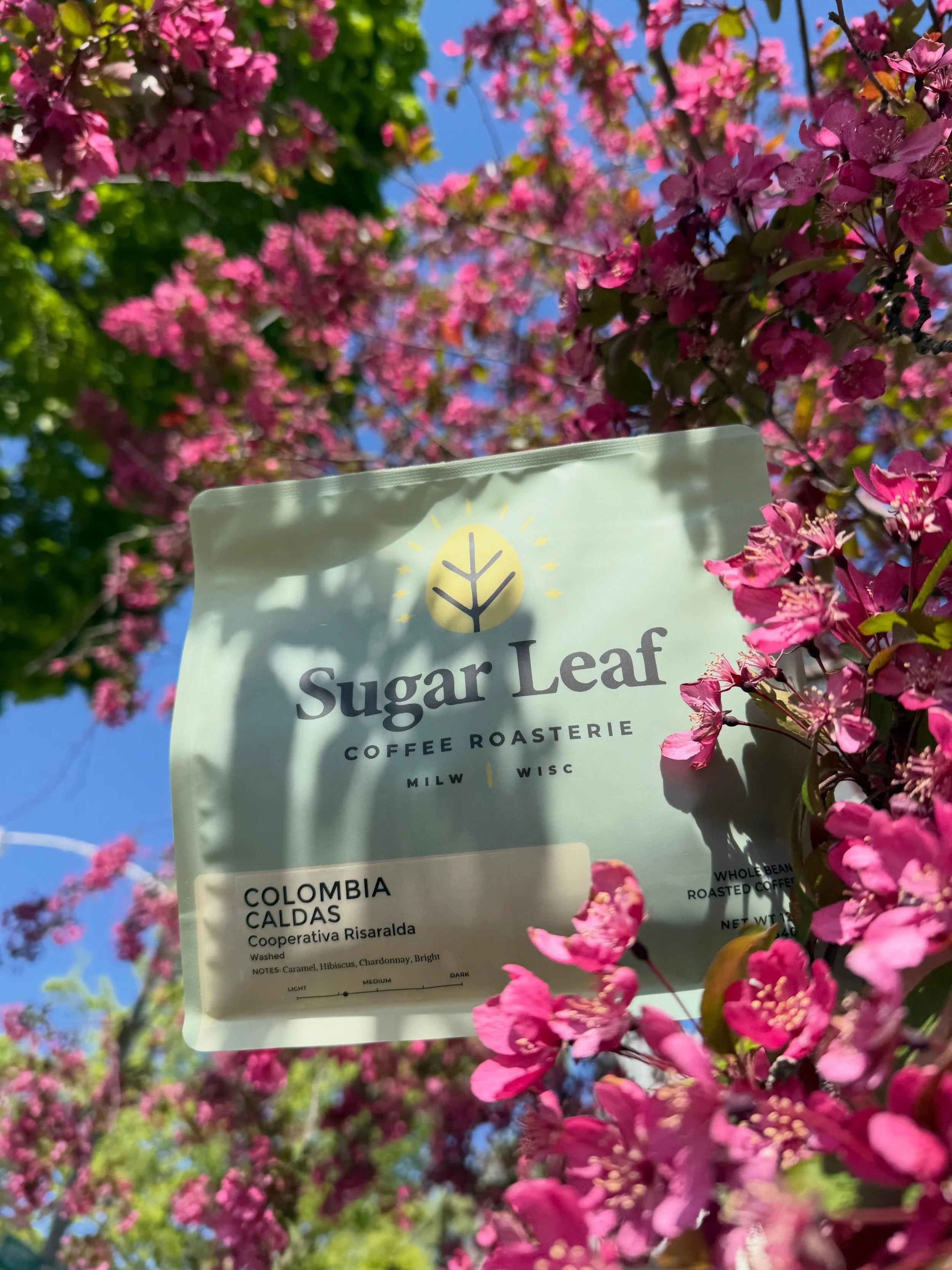 Now Roasting: Colombia Caldas Cooperativa Risaralda. 🌺 Notes of hibiscus, caramel, and chardonnay; with a crisp and bright acidity. 🍋 Coffees from the Caldas region of Colombia just hit differently! 🌺 Check out our website to get yourself a bag! ☕