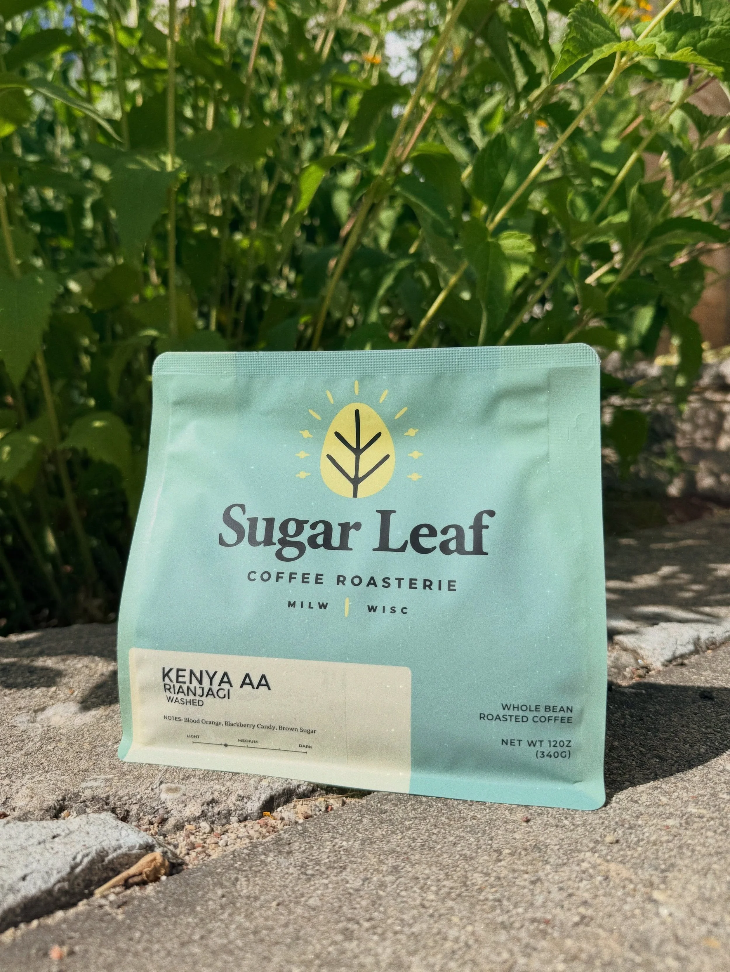 Now Roasting: Kenya AA Rianjagi. Kenyan coffees are known for their complexity and uniqueness. Our new offering from the Rianjagi Cooperative Society in Kenya&rsquo;s Embu region showcases this terroir with exciting citrus and floral sips. We&rsquo;r