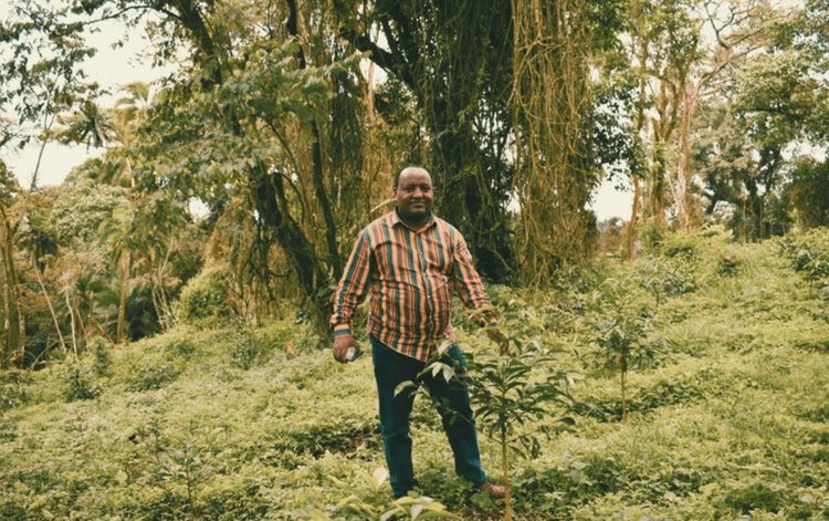 Ethiopian Dinkalem Ademe