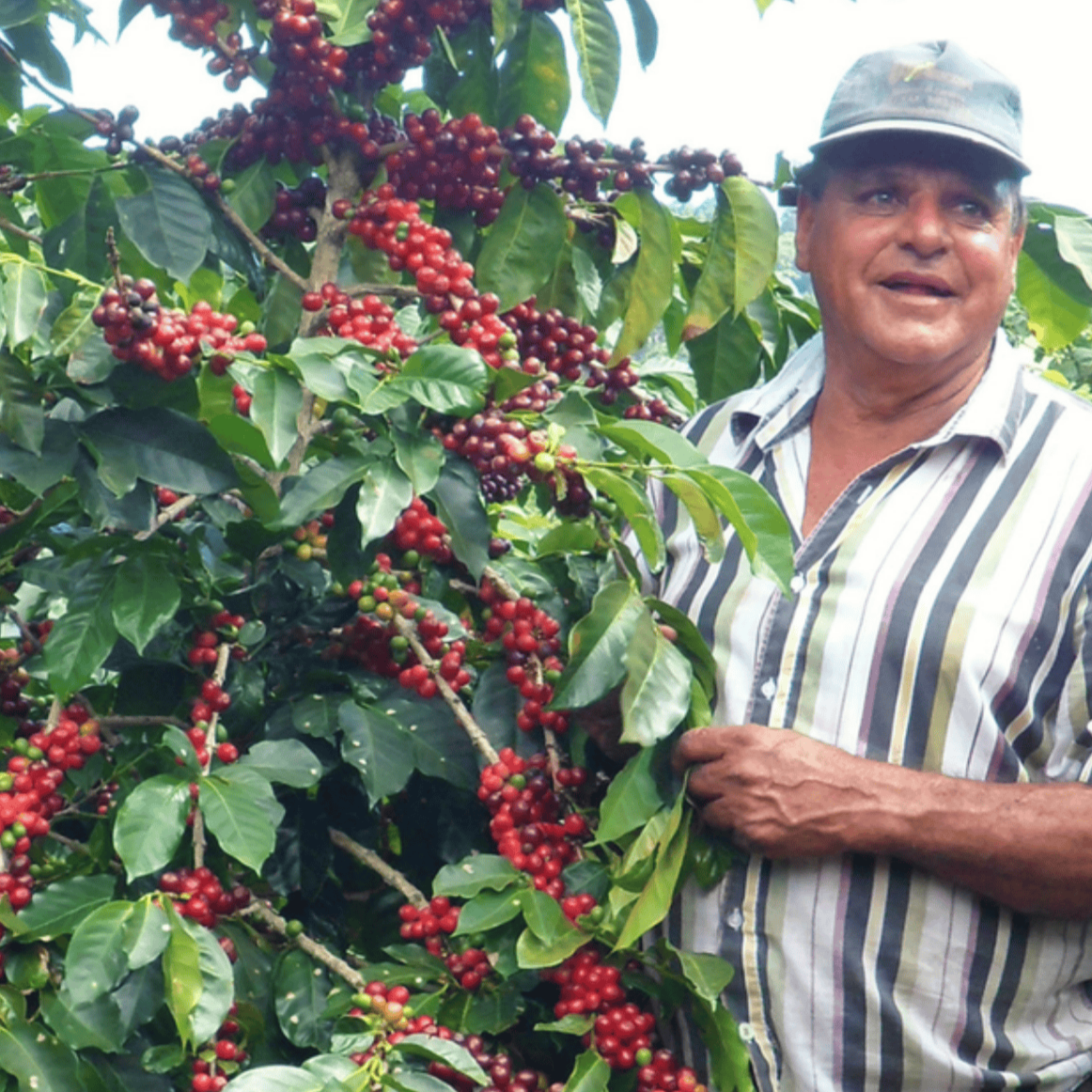 Costa Rica Danilo Salazar