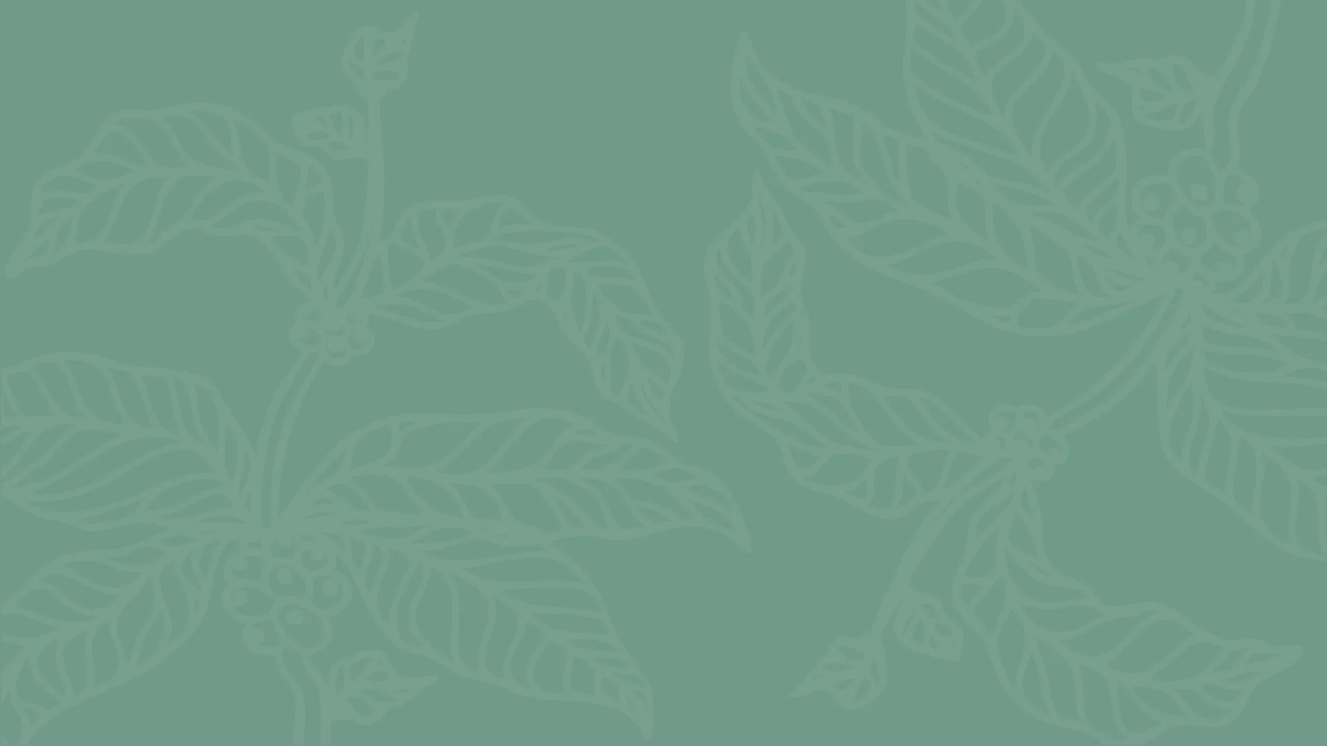 A teal background with a pattern of coffee tree leaves and berries outlined in a lighter shade.