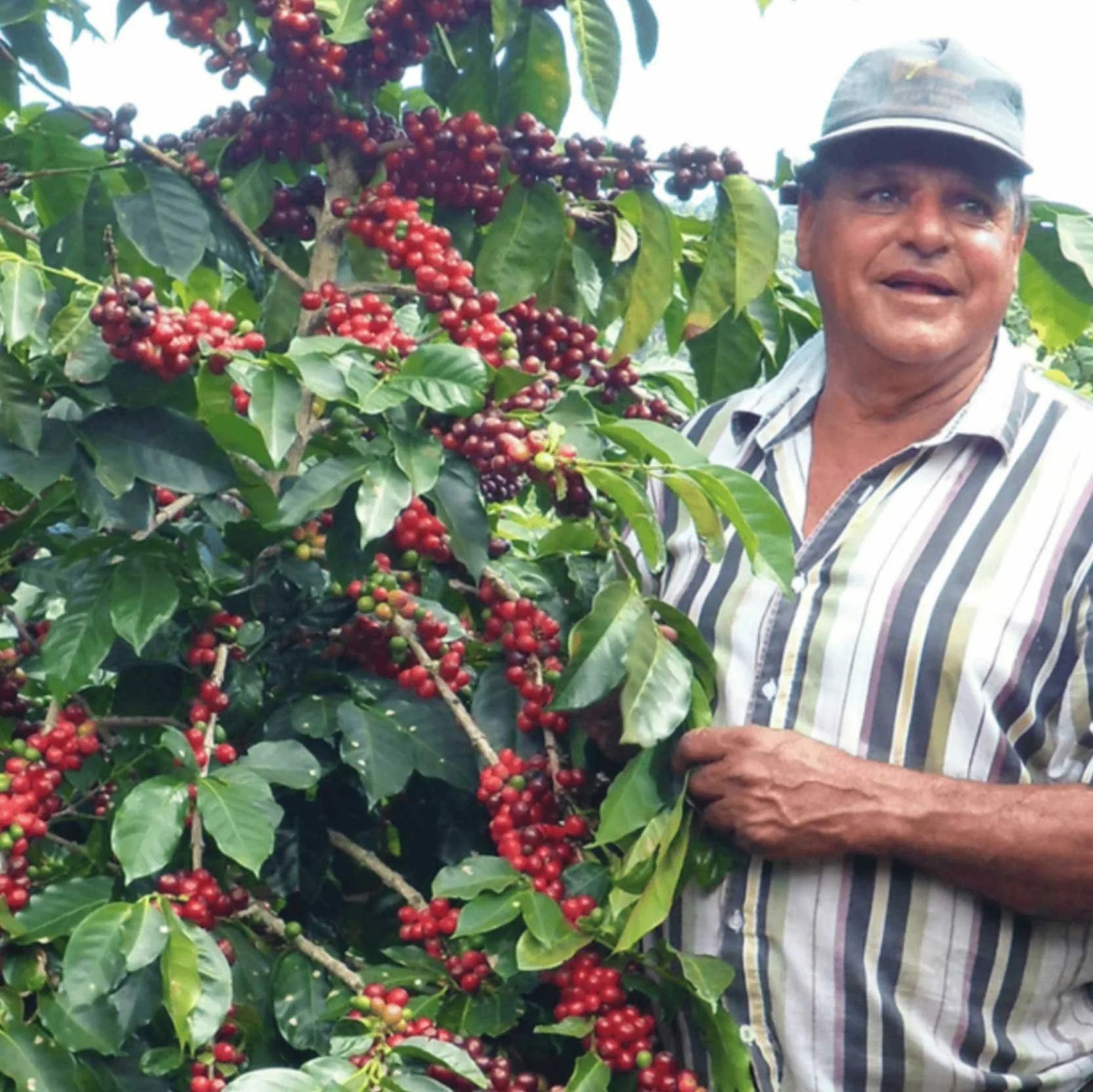 Costa Rica Danilo Salazar