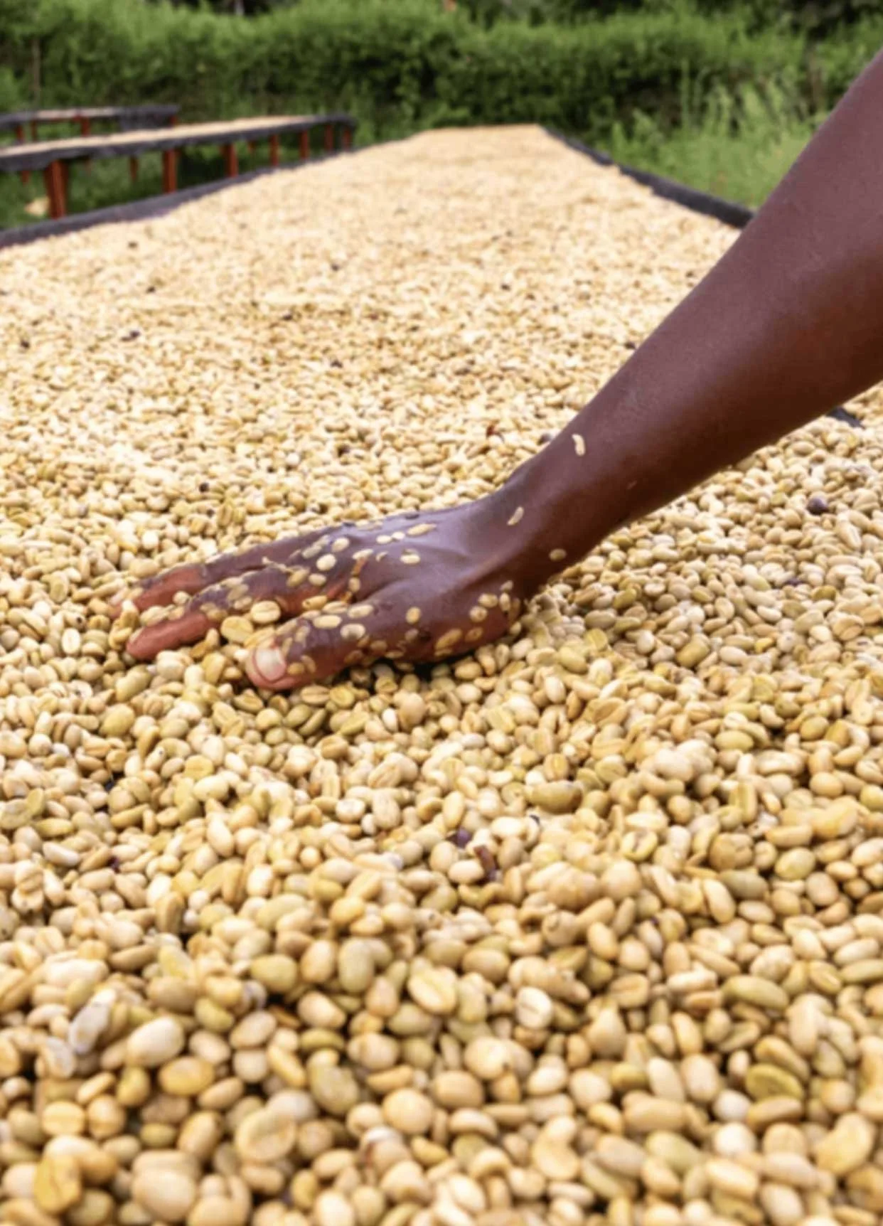 Kenya AA Rianjagi