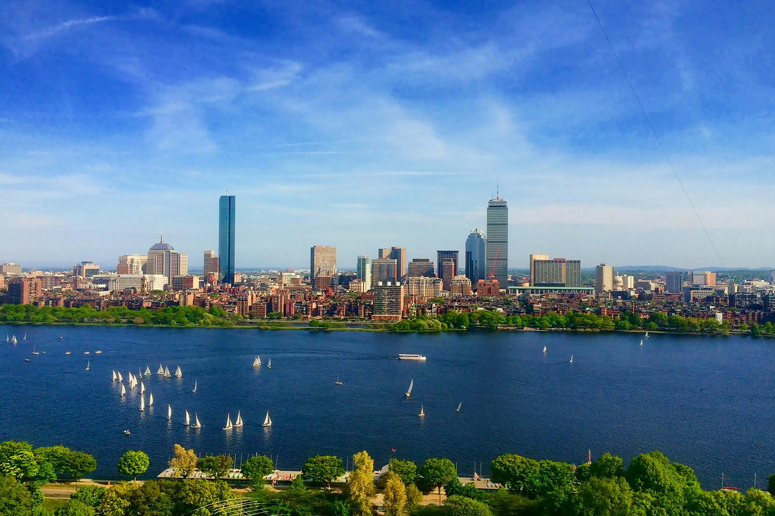 A city skyline with tall buildings viewed across a body of water with sailboats, and a waterfront park with green trees in the foreground.