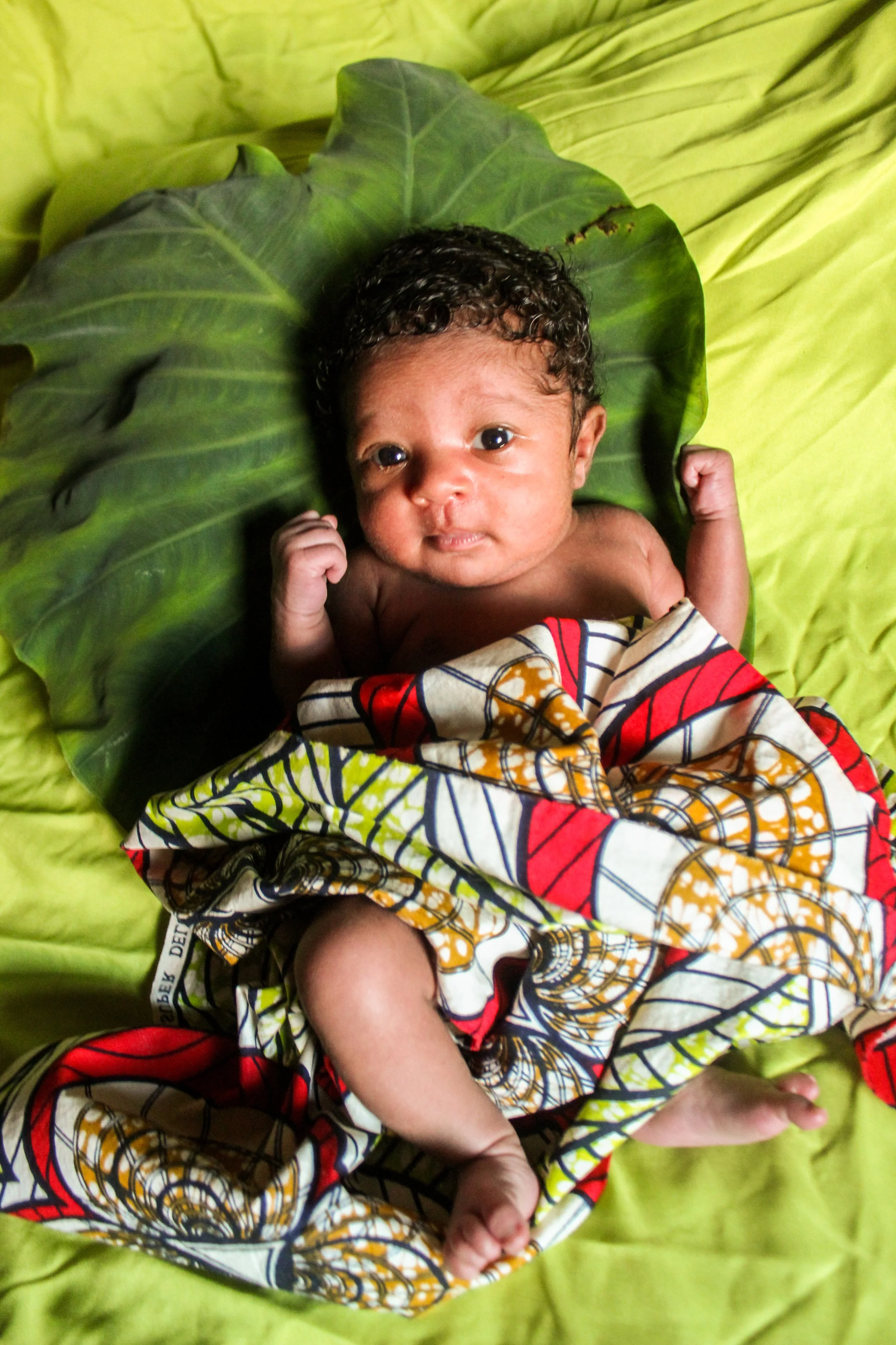 A newborn baby lying on a large green leaf, wrapped in colorful patterned fabric with red, yellow, and blue accents, on a bright green bedspread.