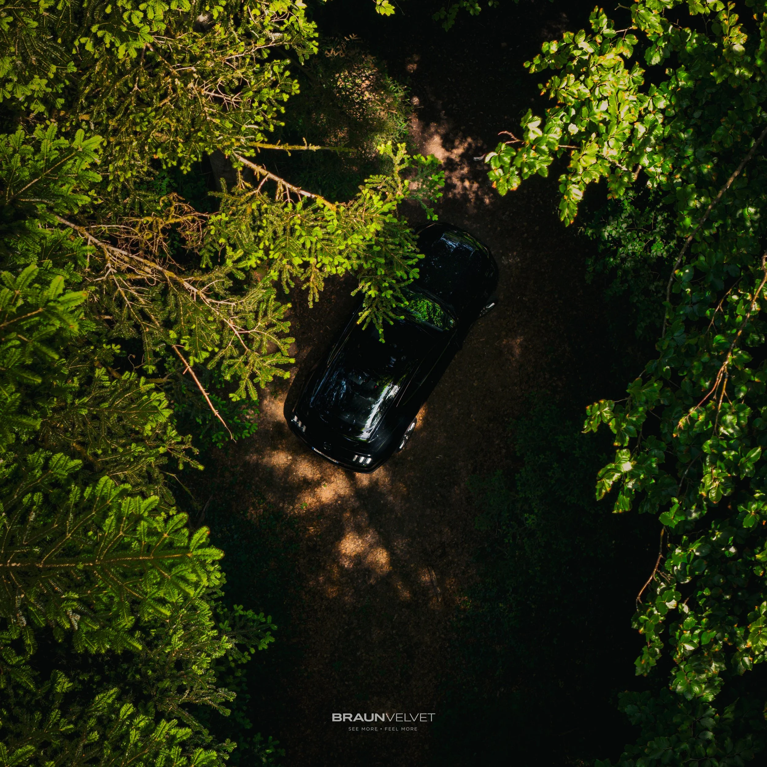 Une Mustang noire au cœur d’une forêt dense, capturée depuis les airs à travers la lumière naturelle des arbres. Une scène cinématographique mêlant mystère, puissance et nature sauvage.