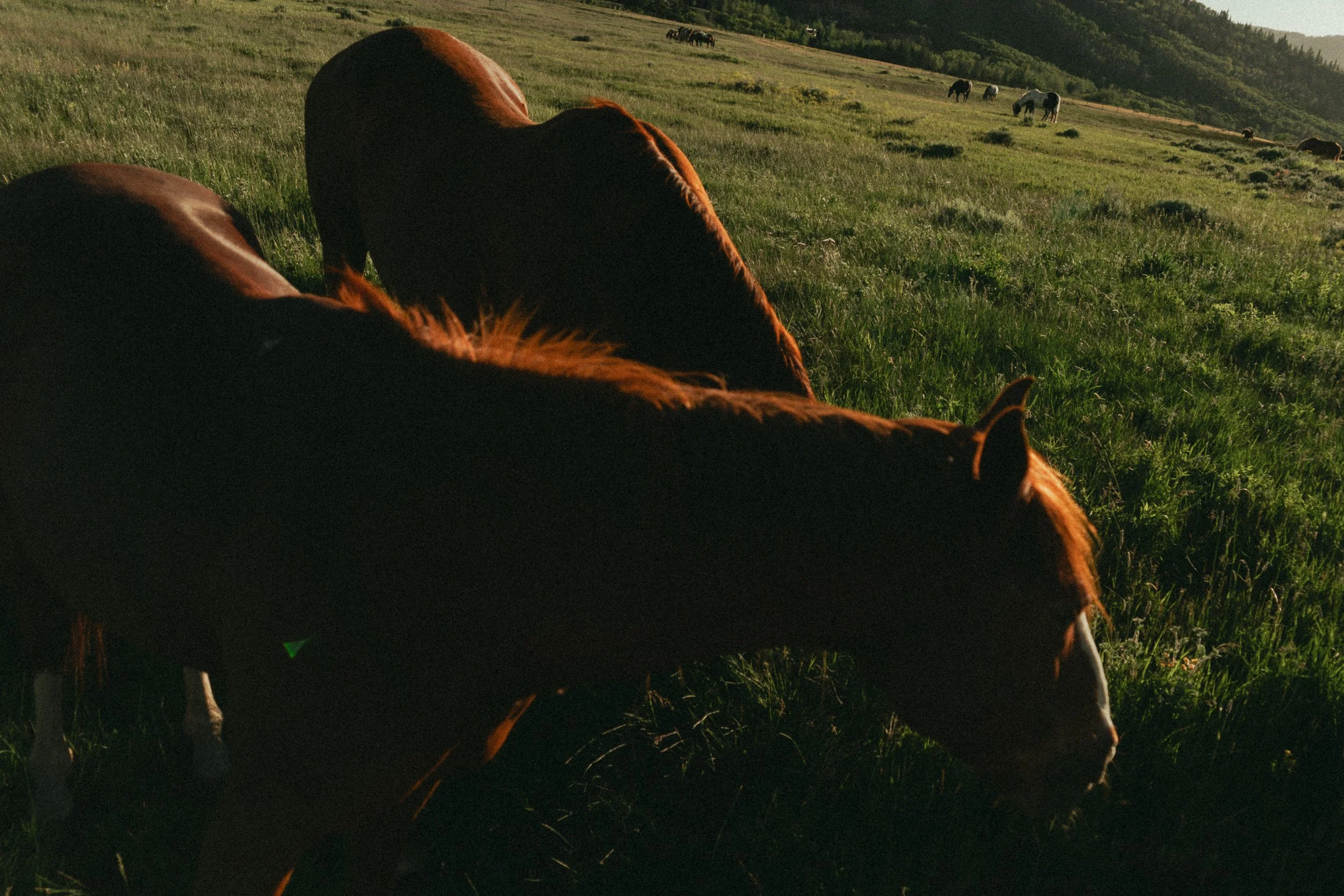 Park City-10.jpg