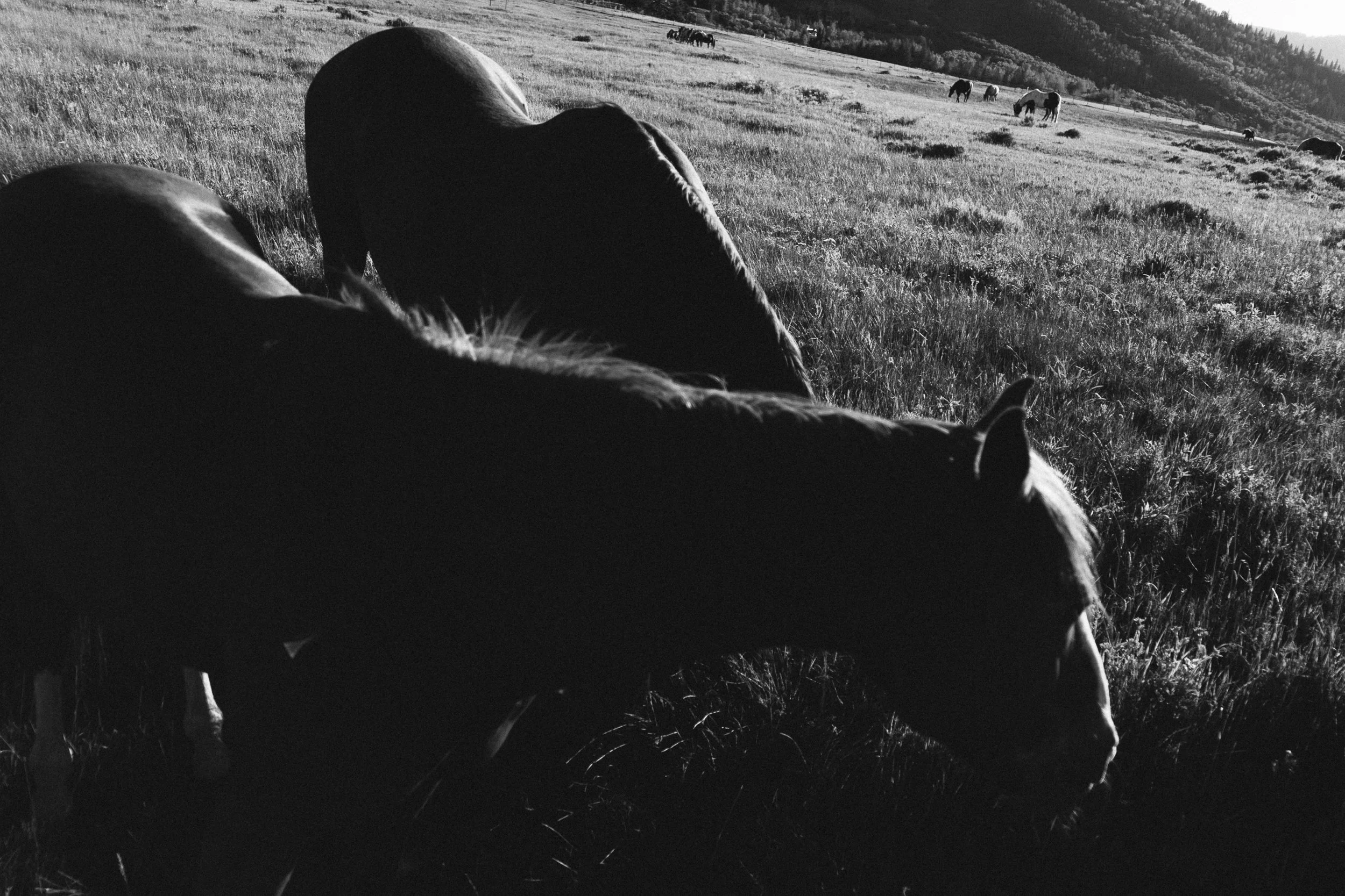Park City-11.jpg
