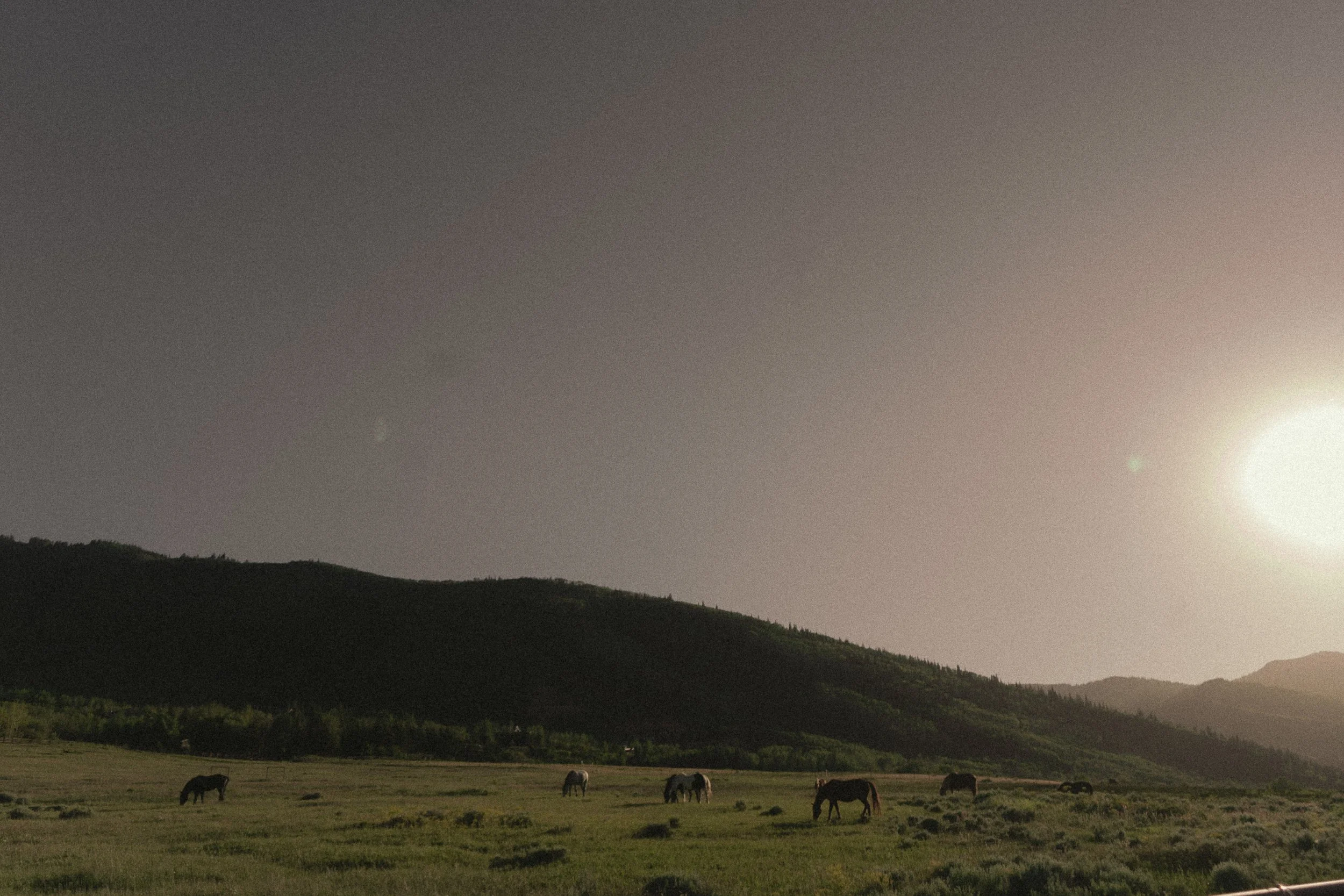 Park City-12.jpg