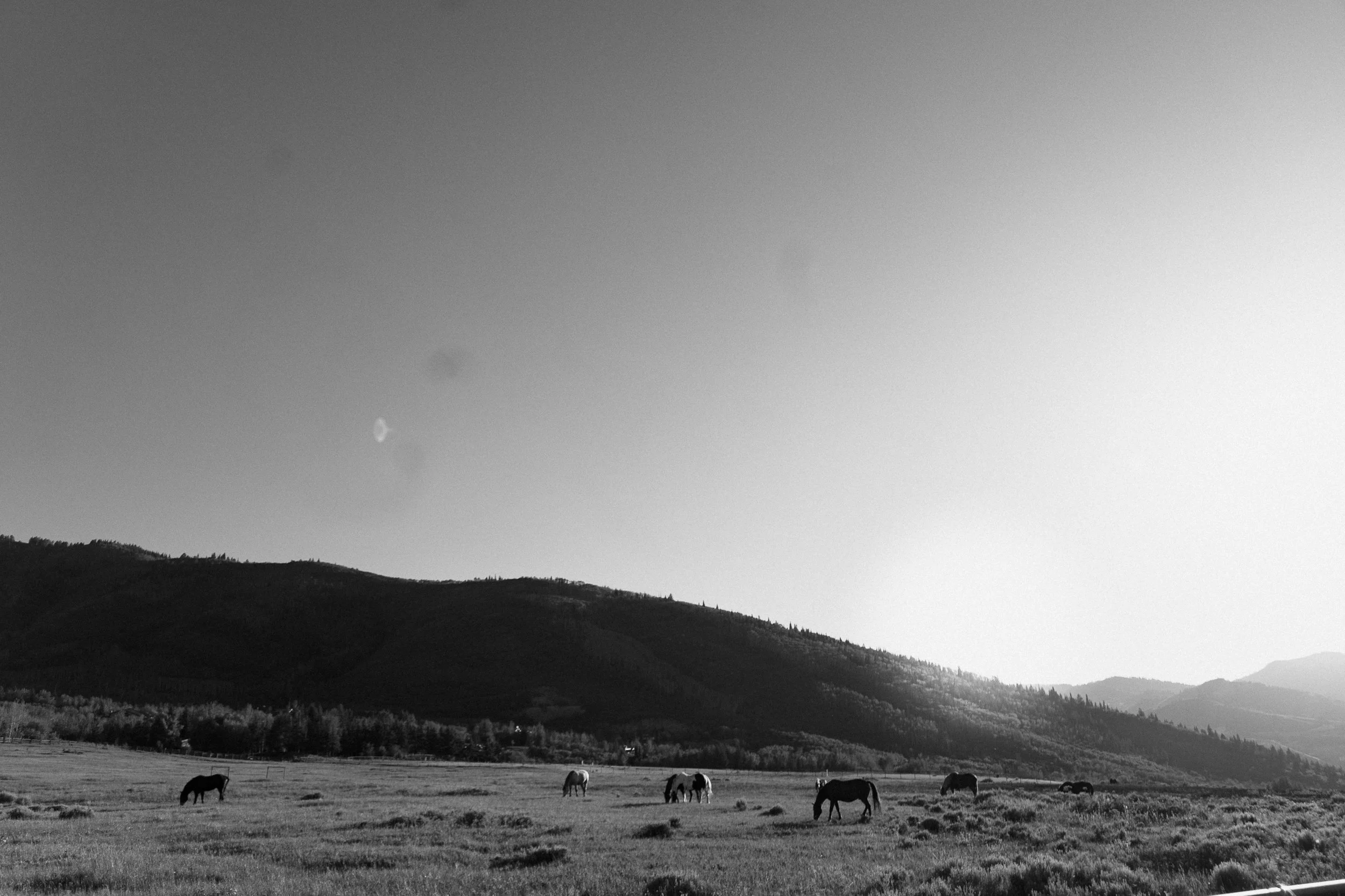 Park City-13.jpg