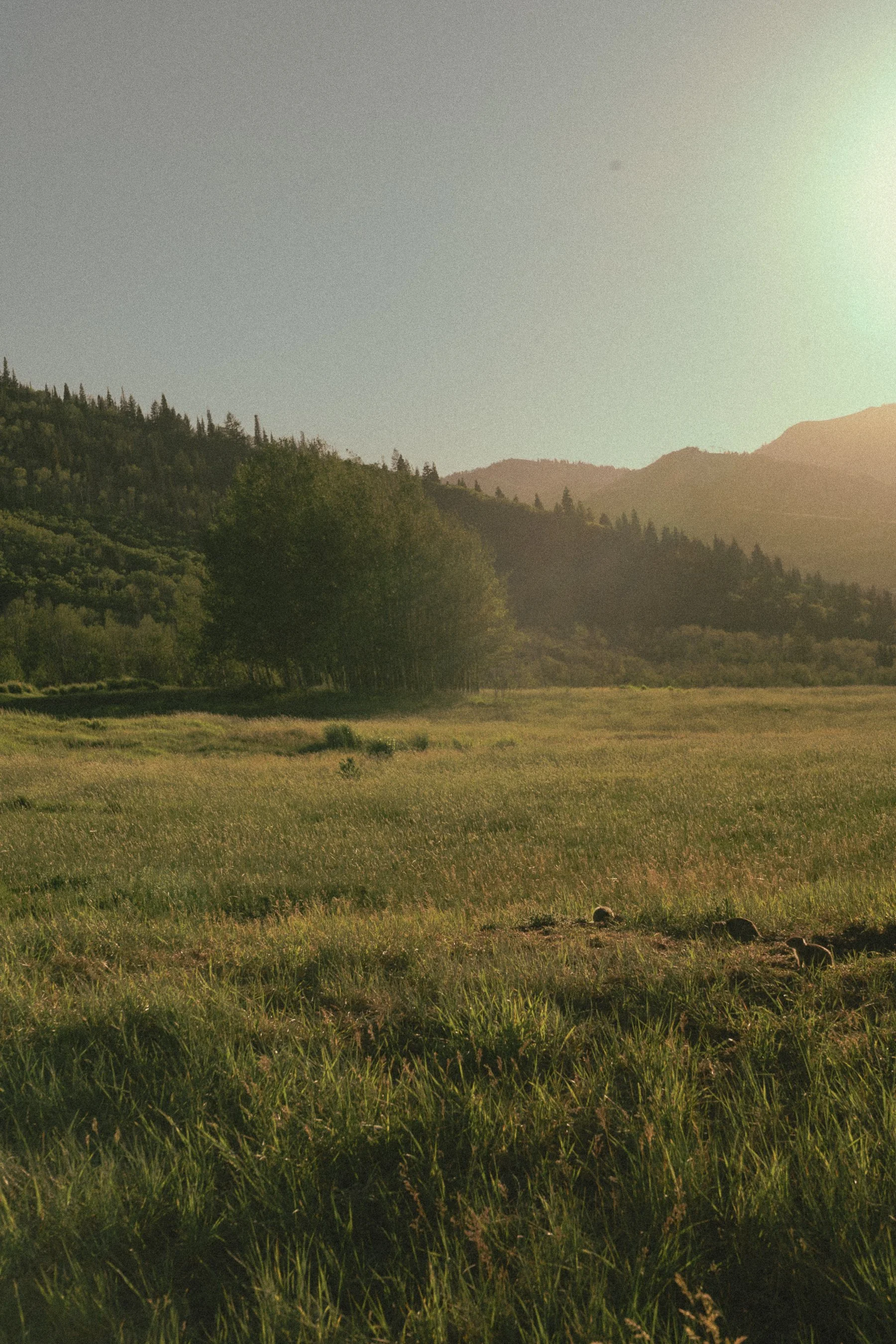 Park City-21.jpg