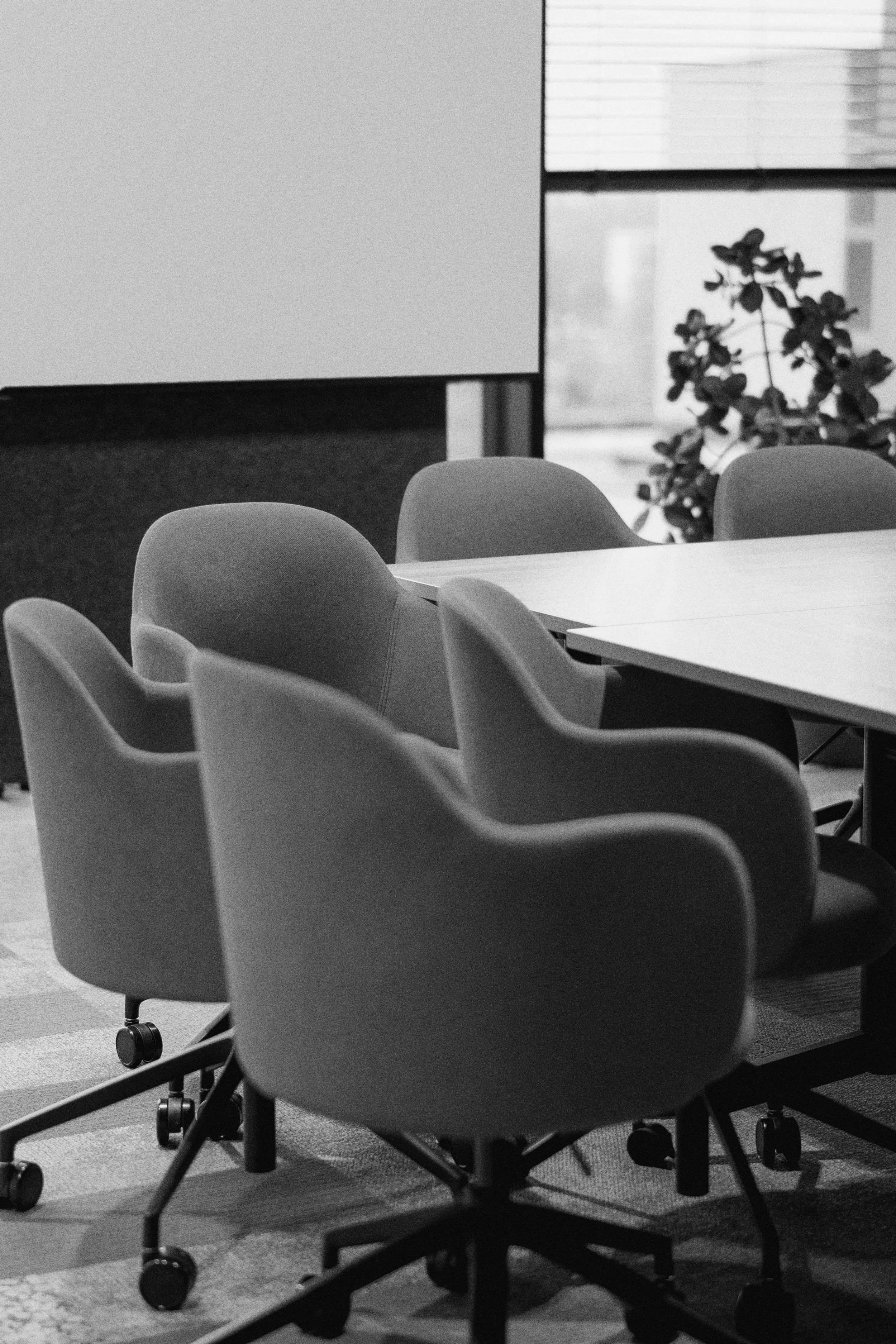 Empty conference room with rolling chairs around a table, a plant near the window, and a large whiteboard or projection screen.