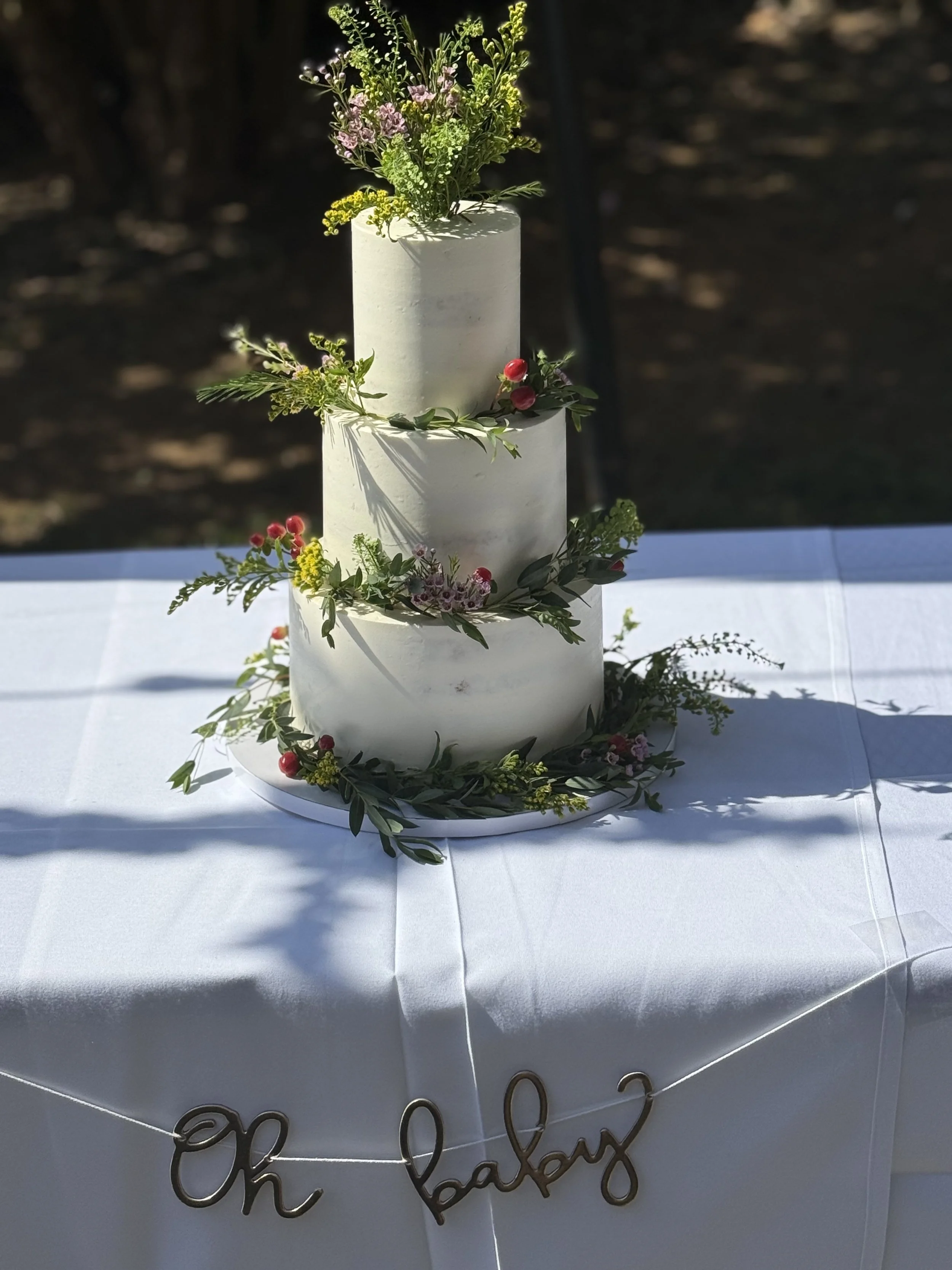 White tiered cake decorated with green foliage outdoors.