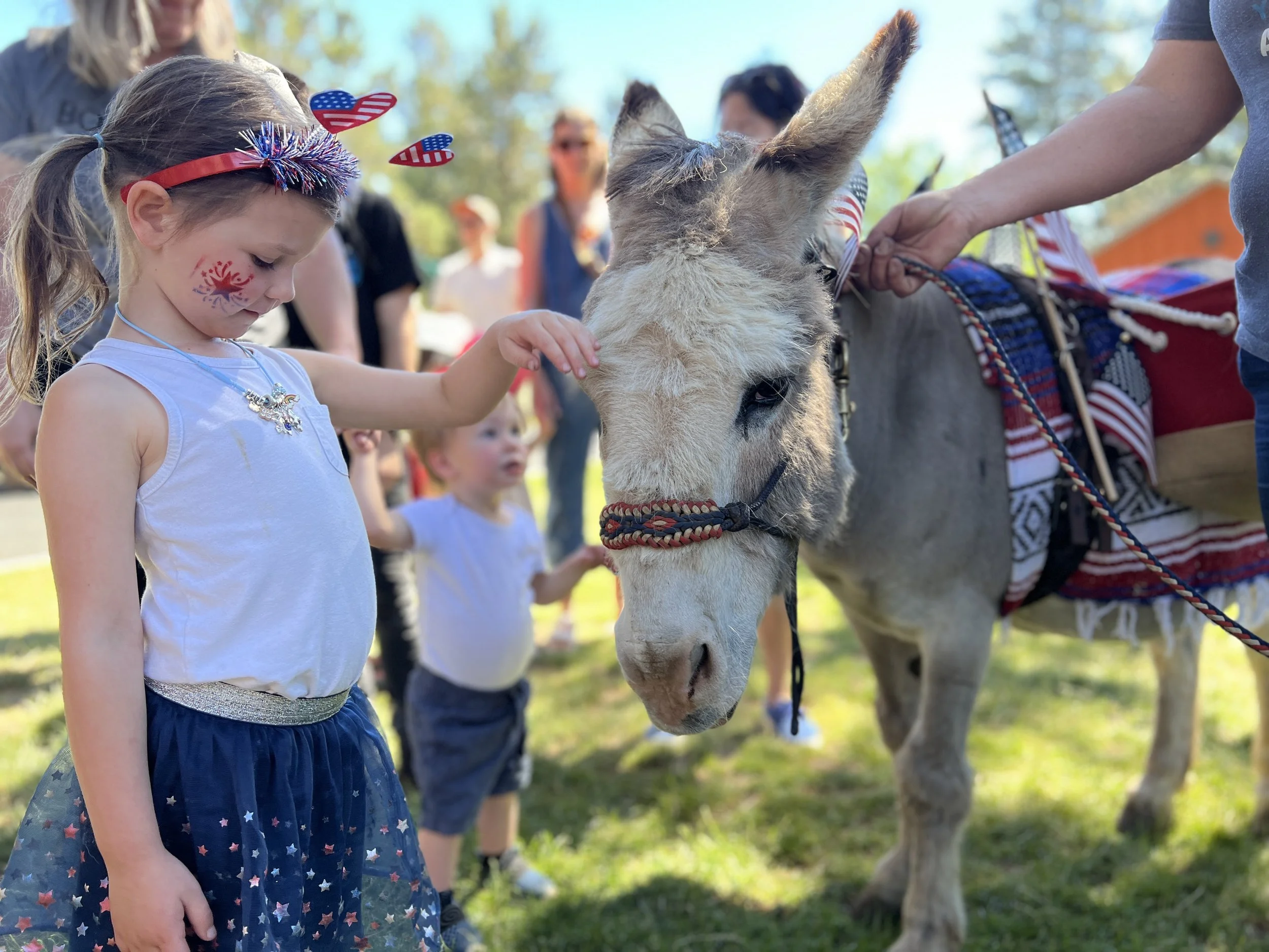 A young girl with face paint and patriotic accessories petting a donkey at an outdoor event, with other children and adults in the background.