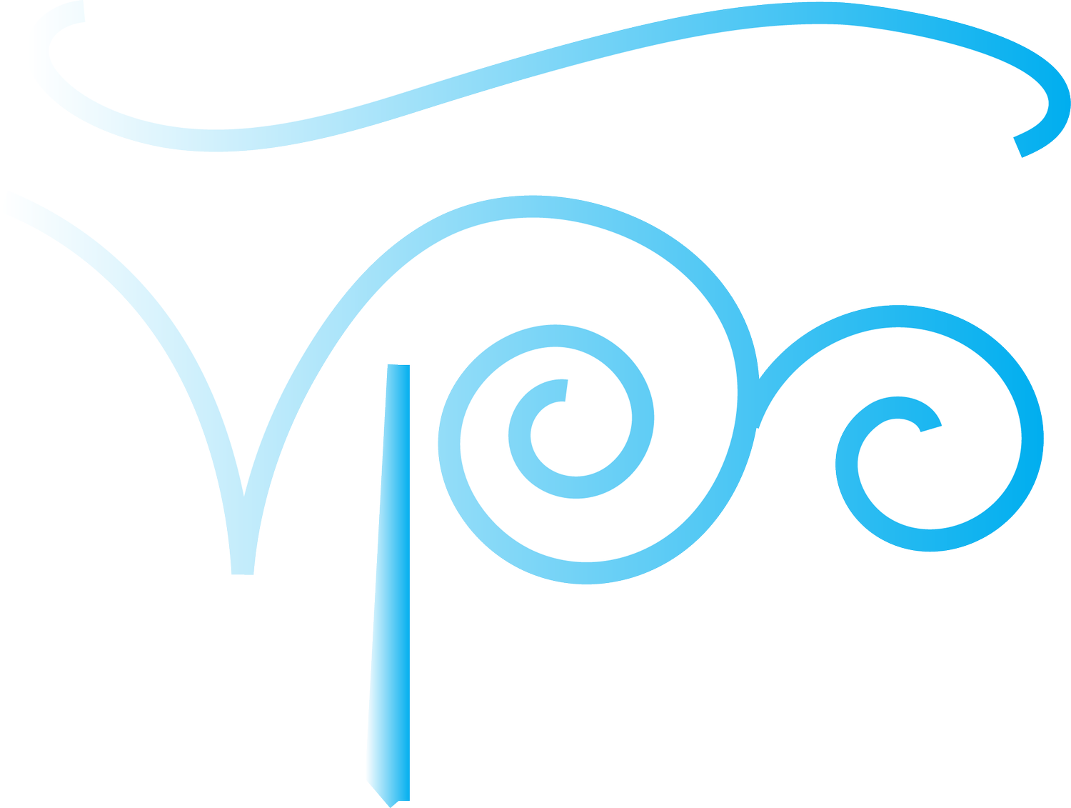 Vargas Progress Solutions