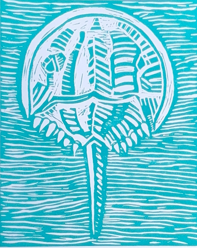 Untitled design (13).png