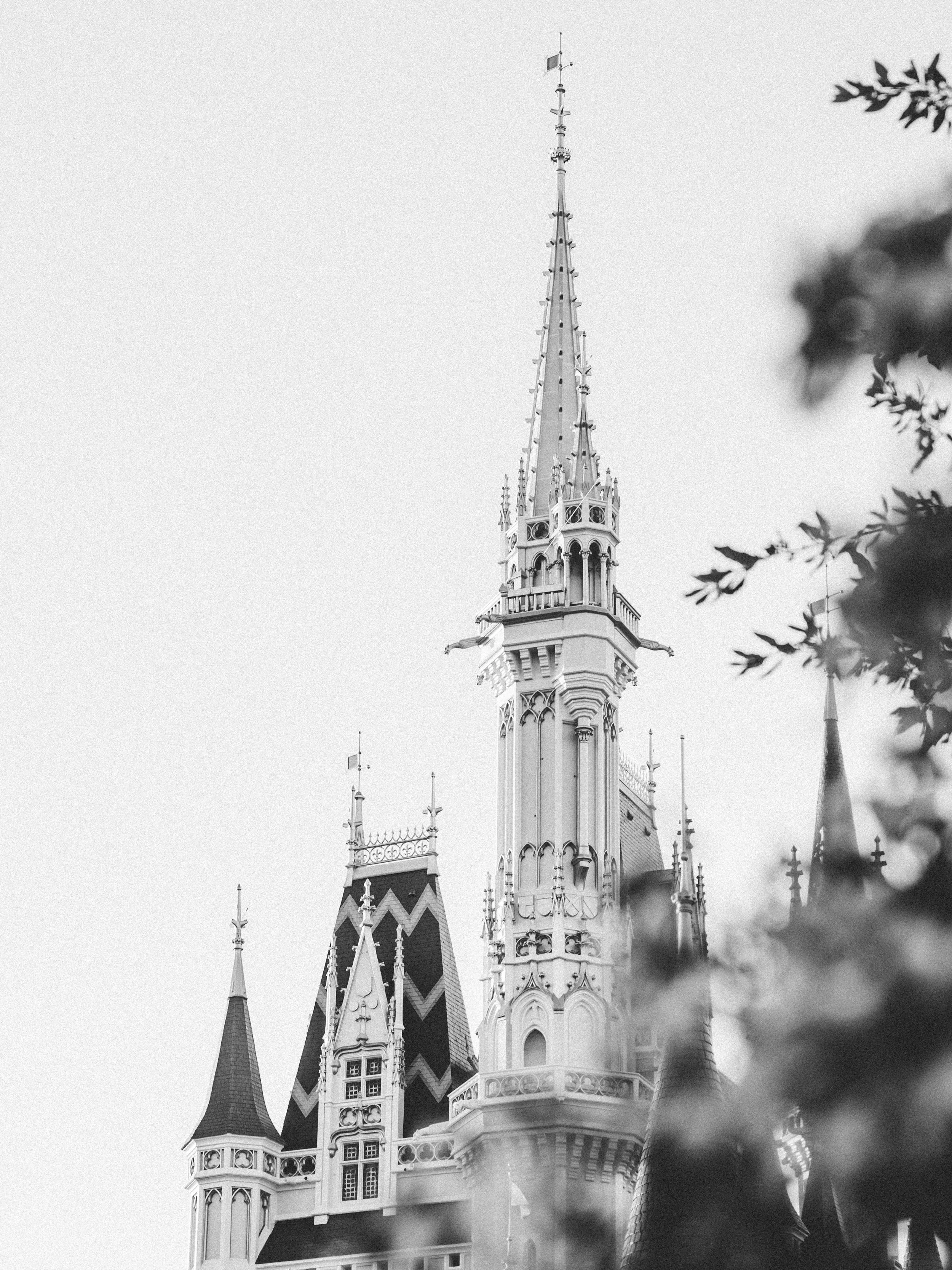 Timeless Kingdom