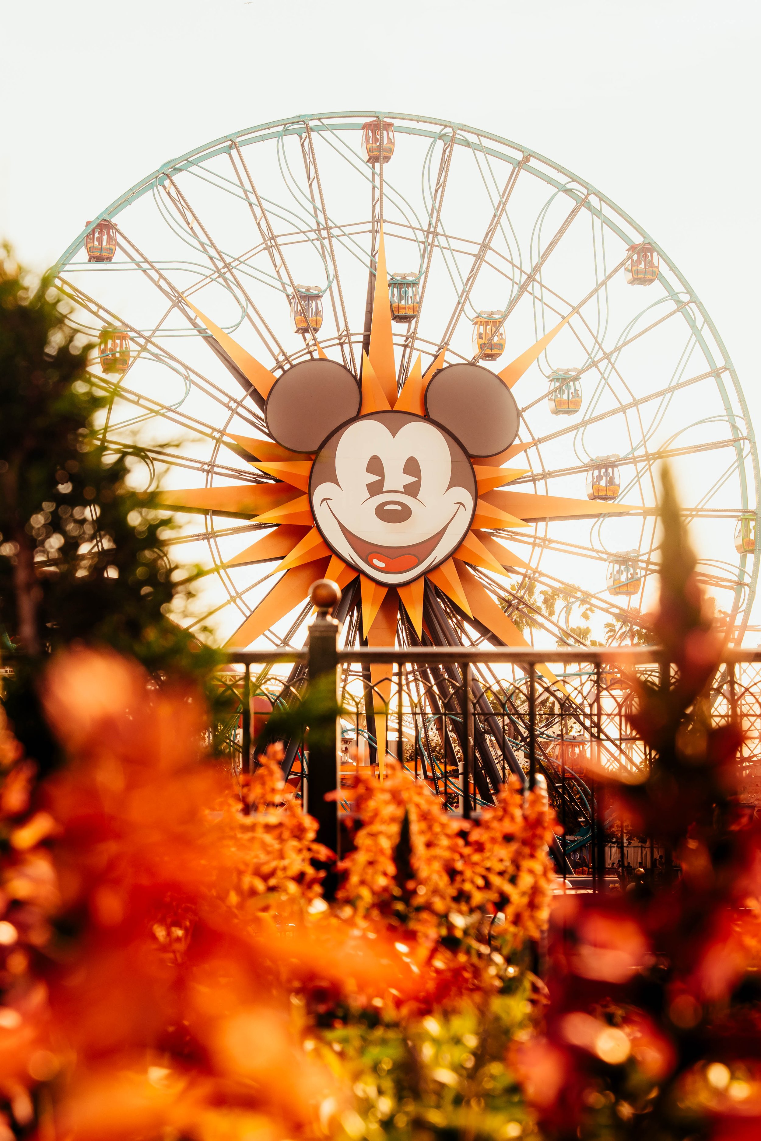 Californian Sunset