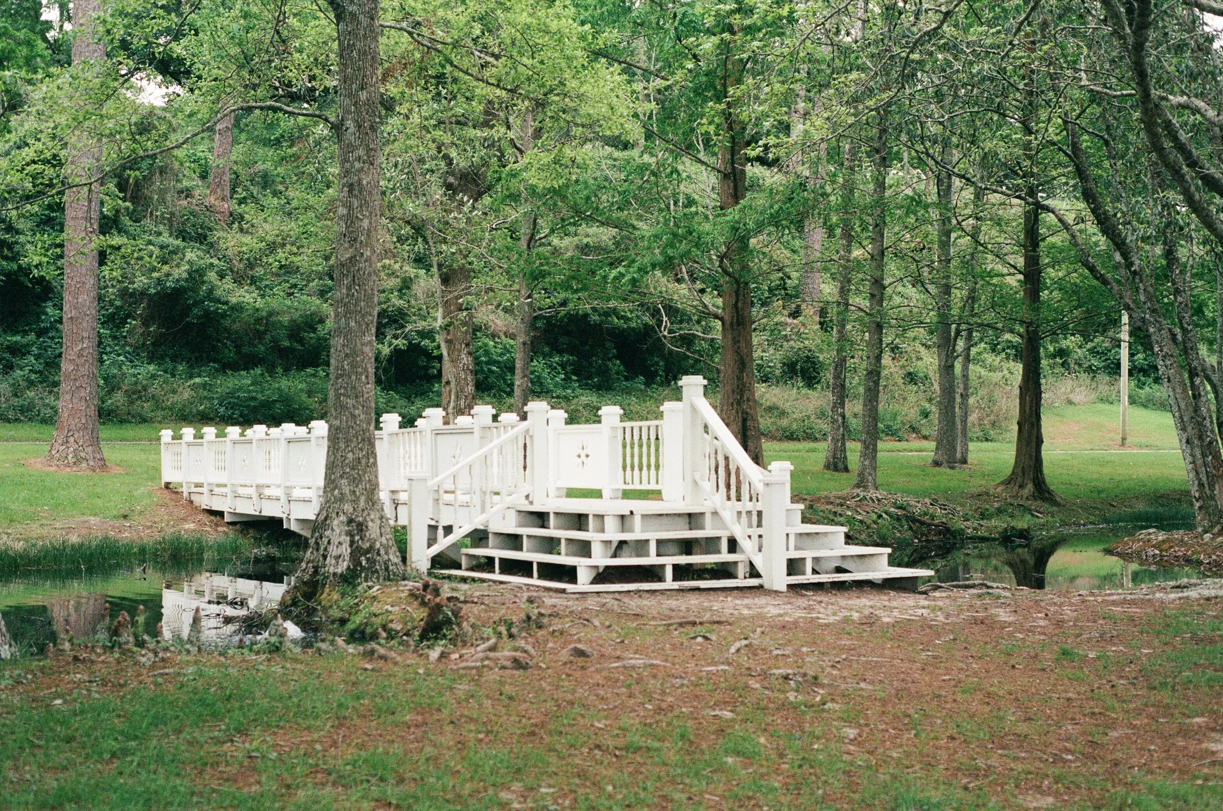 A white wooden bridge over a small body of water in a wooded area with tall trees and green foliage.