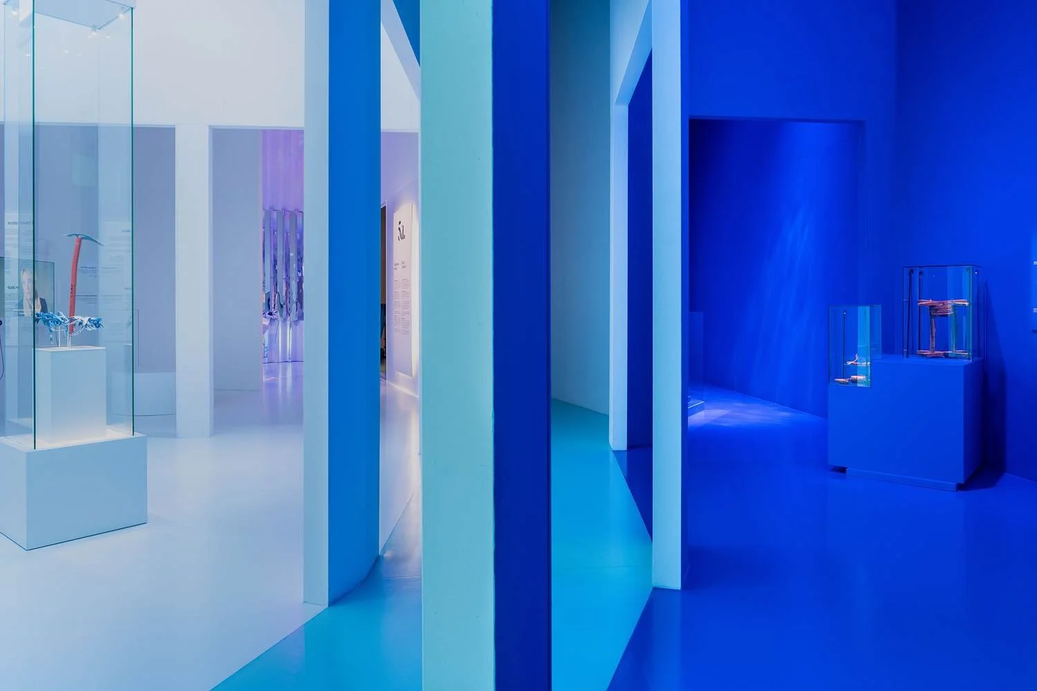 Interior view of a modern museum or gallery with displays of artifacts encased in glass, separated by colorful partition walls in shades of blue and white, with blue lighting creating a sleek, contemporary atmosphere.