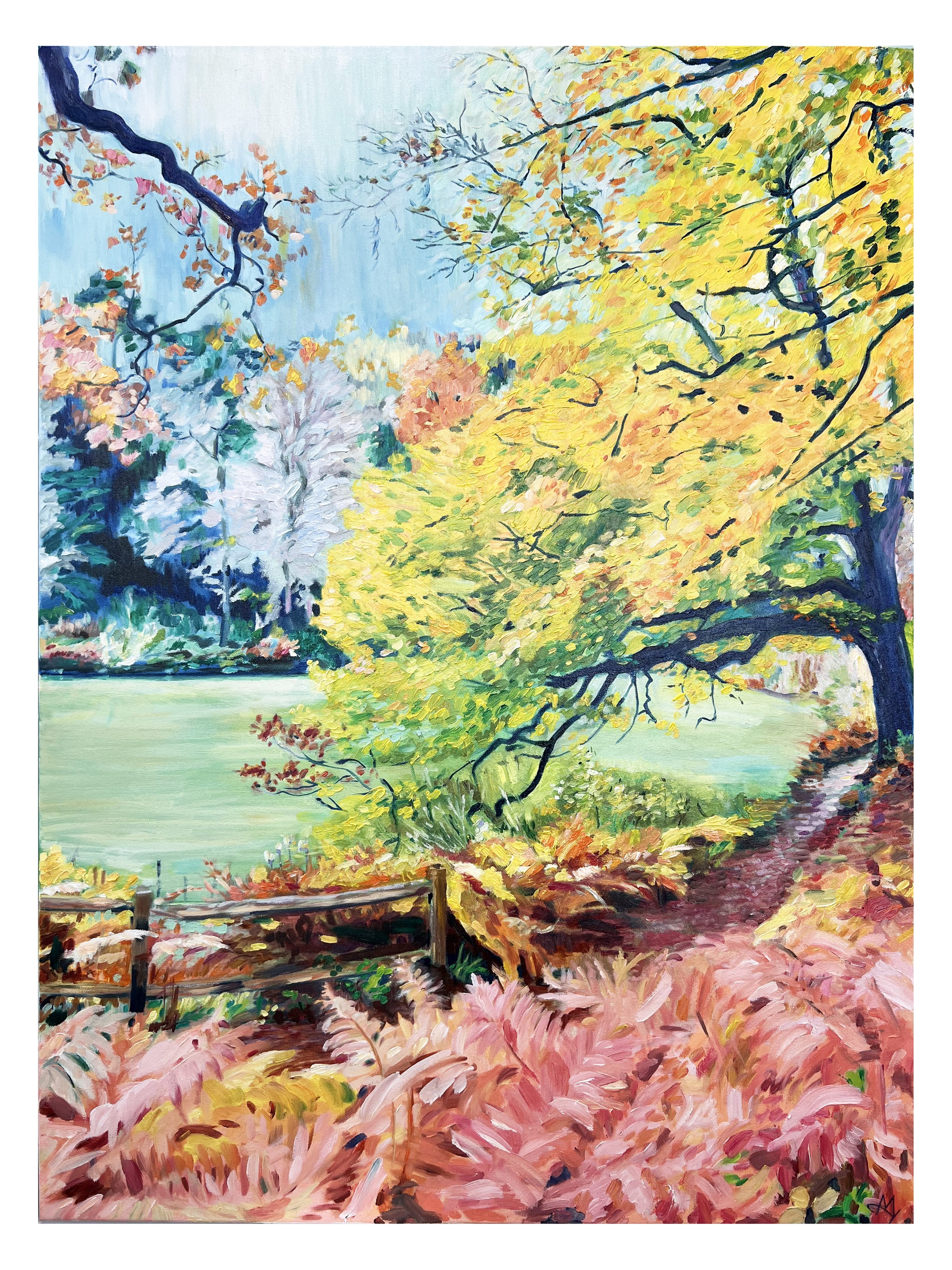 After the Rain, Available