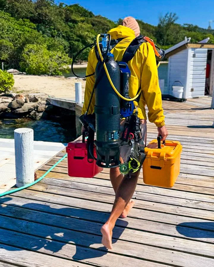 Avelo Scuba System
