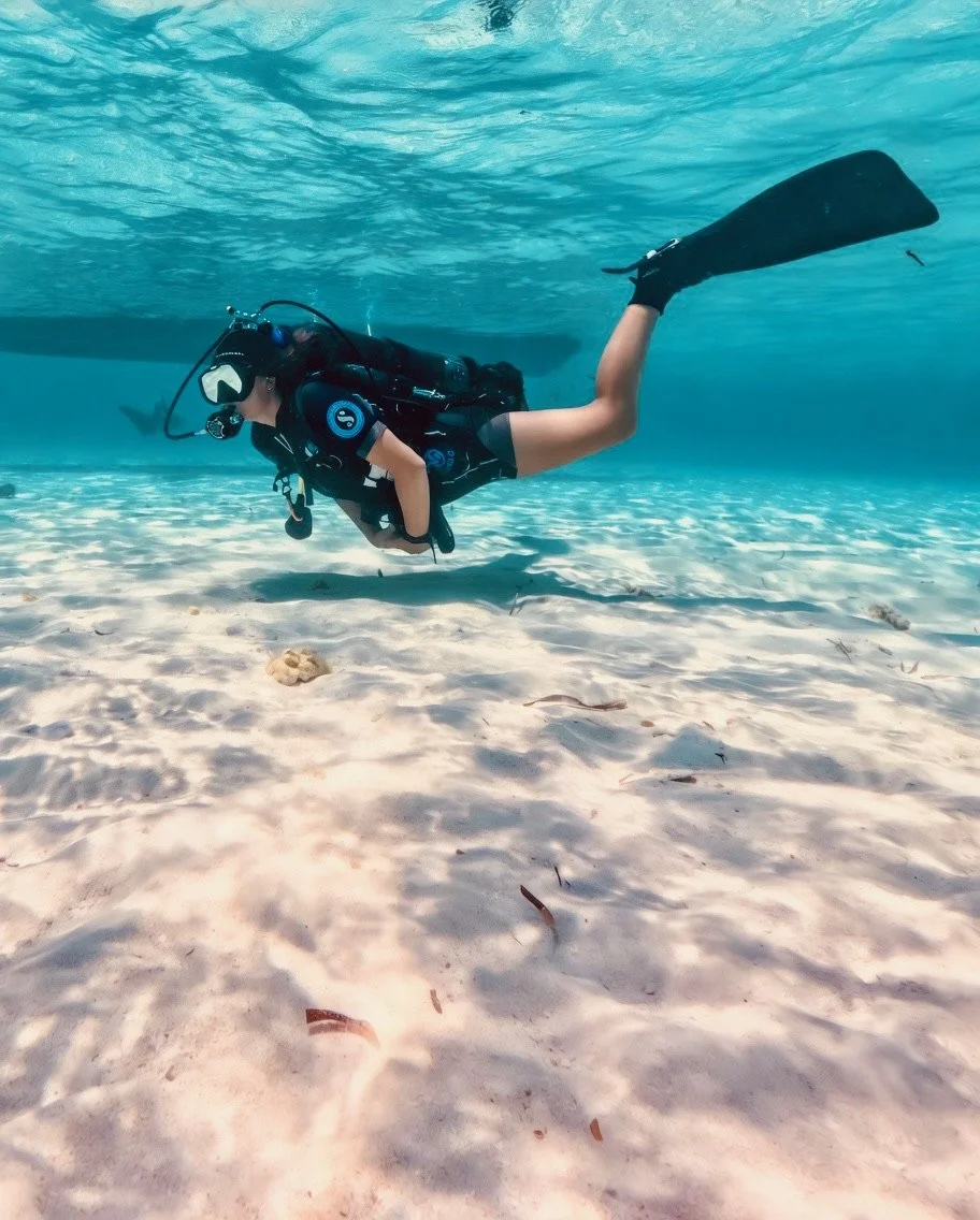 Dive Avelo