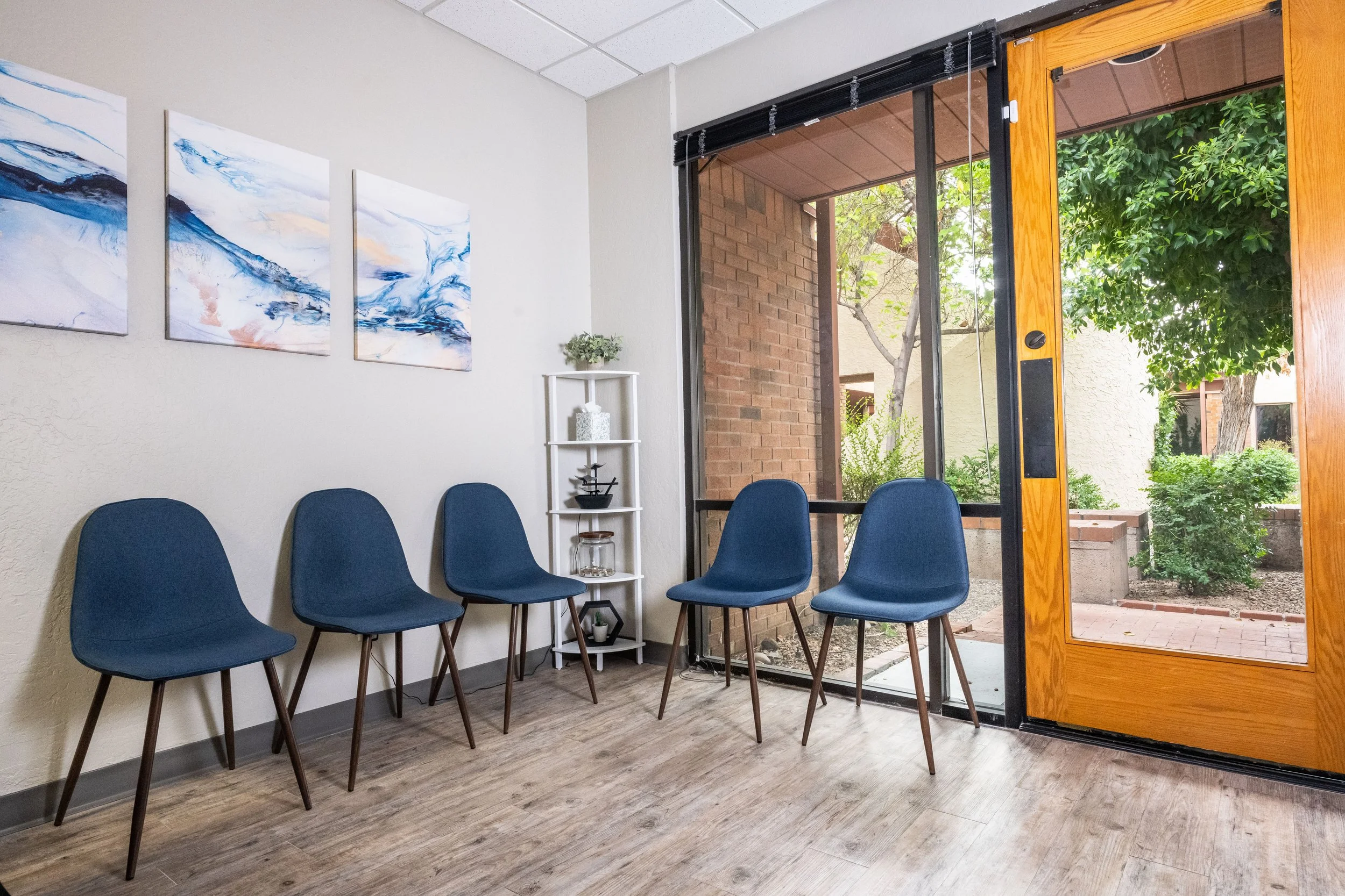 Interior of an office or waiting area with five blue chairs along the wall, decorative wall art, a small white shelf with plants, and a large open glass and wood door leading outside to greenery.