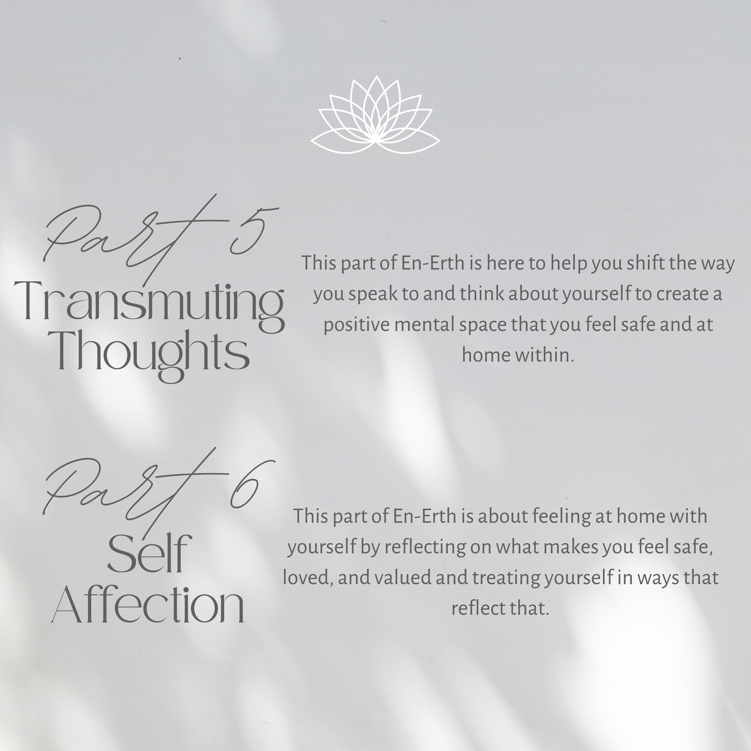 En-Erth Digital Experience Square - 12.png
