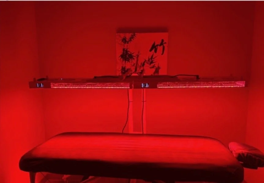 Red light therapy full body panel.
