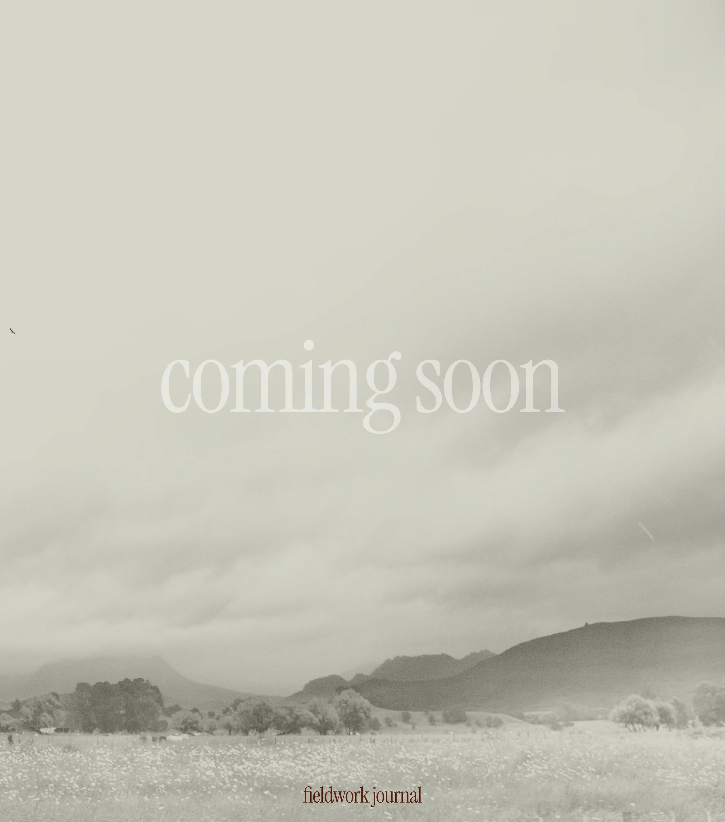 A journal is starting. 

Fieldwork documents the relationships between architecture, landscape, and vernacular culture - rooted in Aotearoa New Zealand, dispatched from wherever the world takes us. 

Issue 01 is coming. 
Follow along.