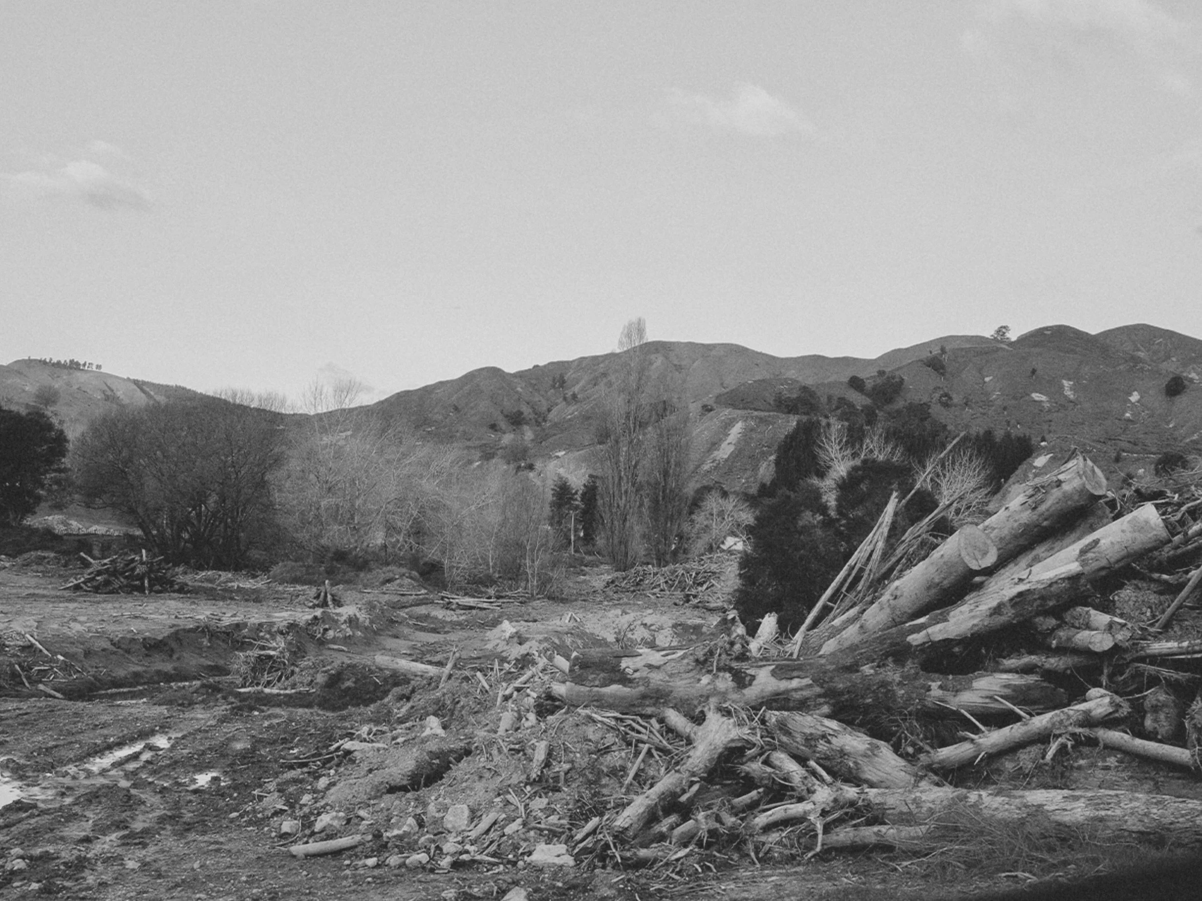 Field Note 01 - Retrospective: After the Storm 