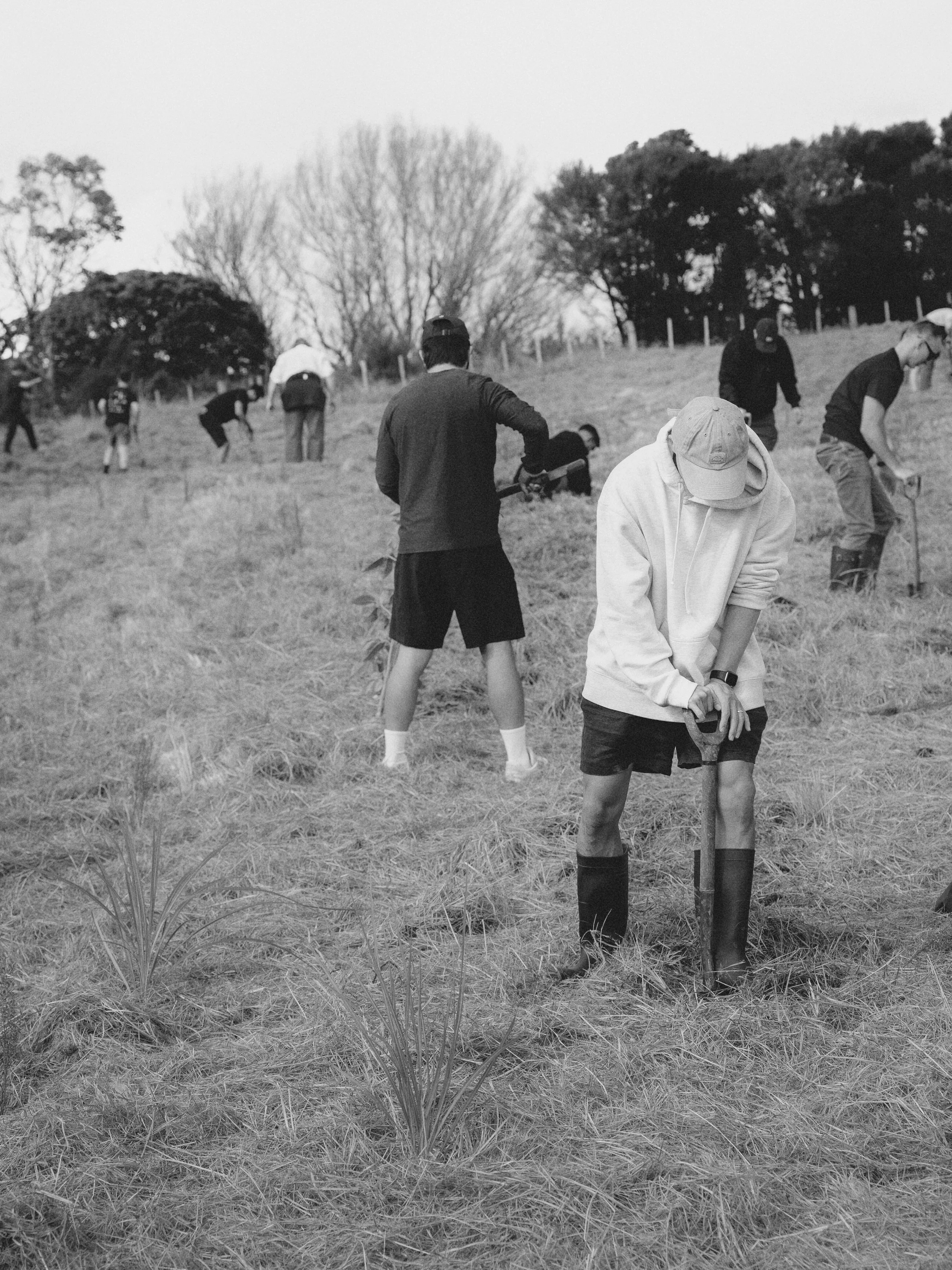 Field Note 03 | A Day For 2000 Trees