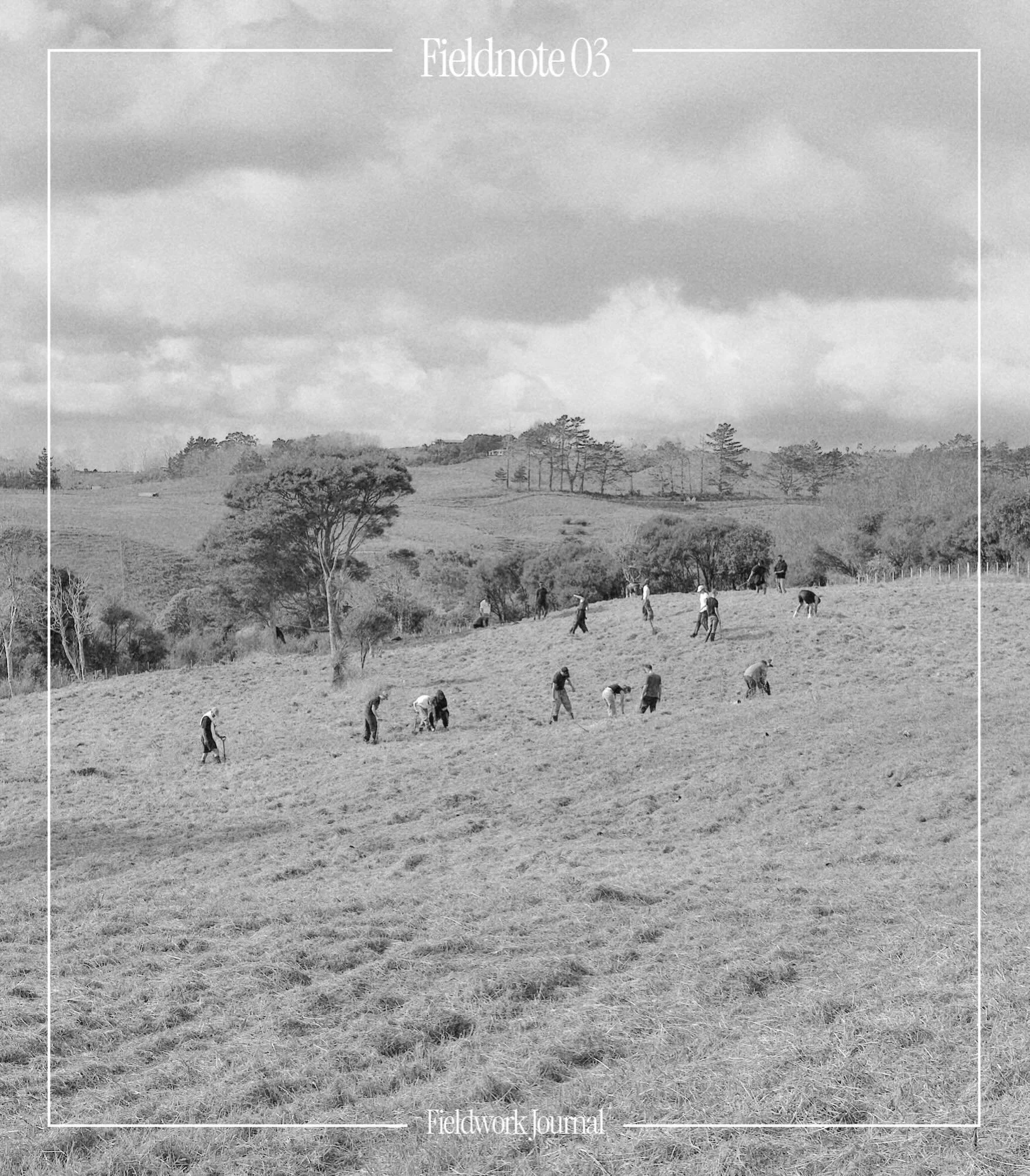 Fieldnote 03 | A Day for 2000 Trees
Reflections on a day spent planting native trees with @cheshirearchitects 

Now live and readable at fieldworkjournal.com - link in bio.