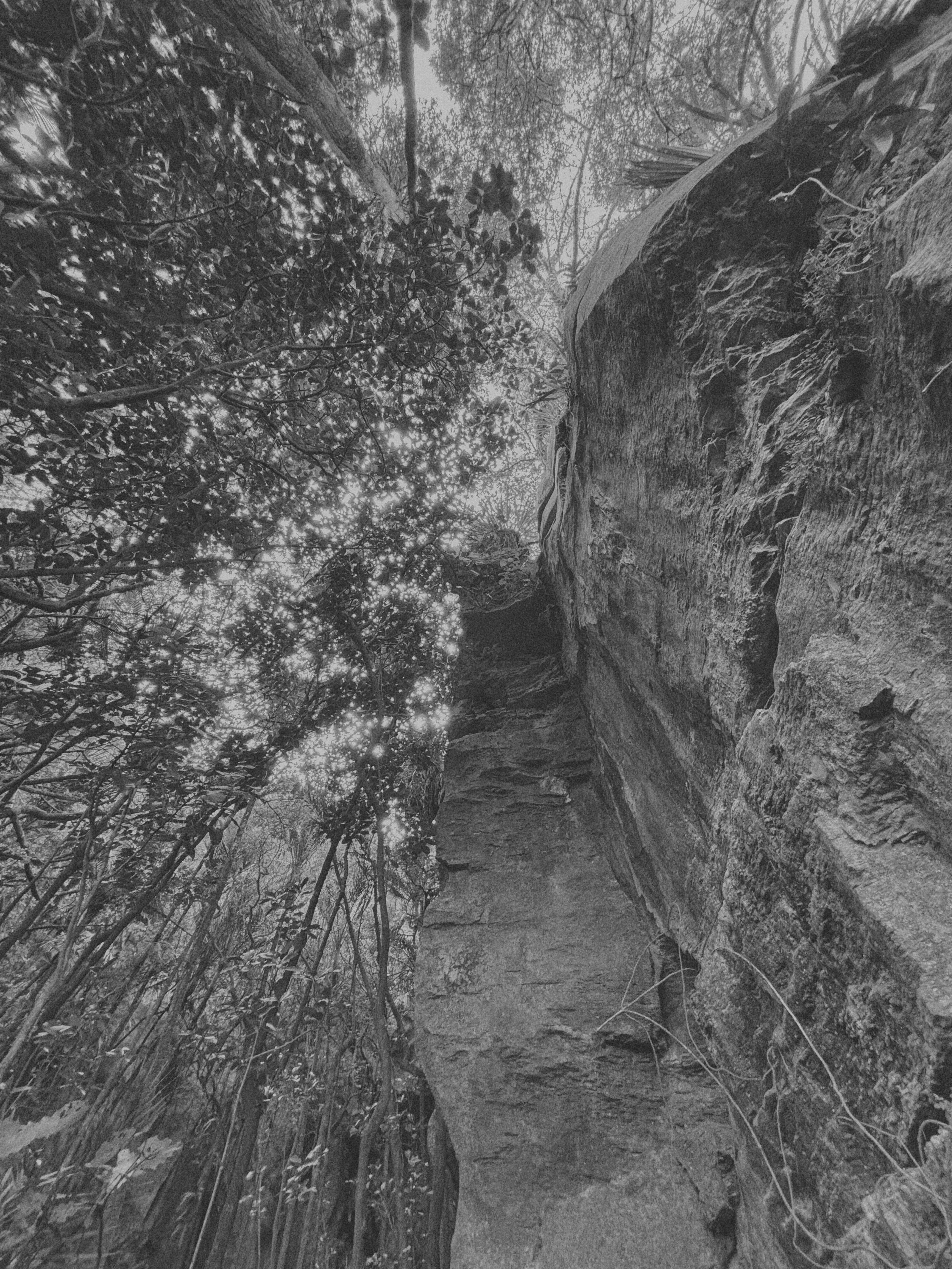 waipu cave.jpeg