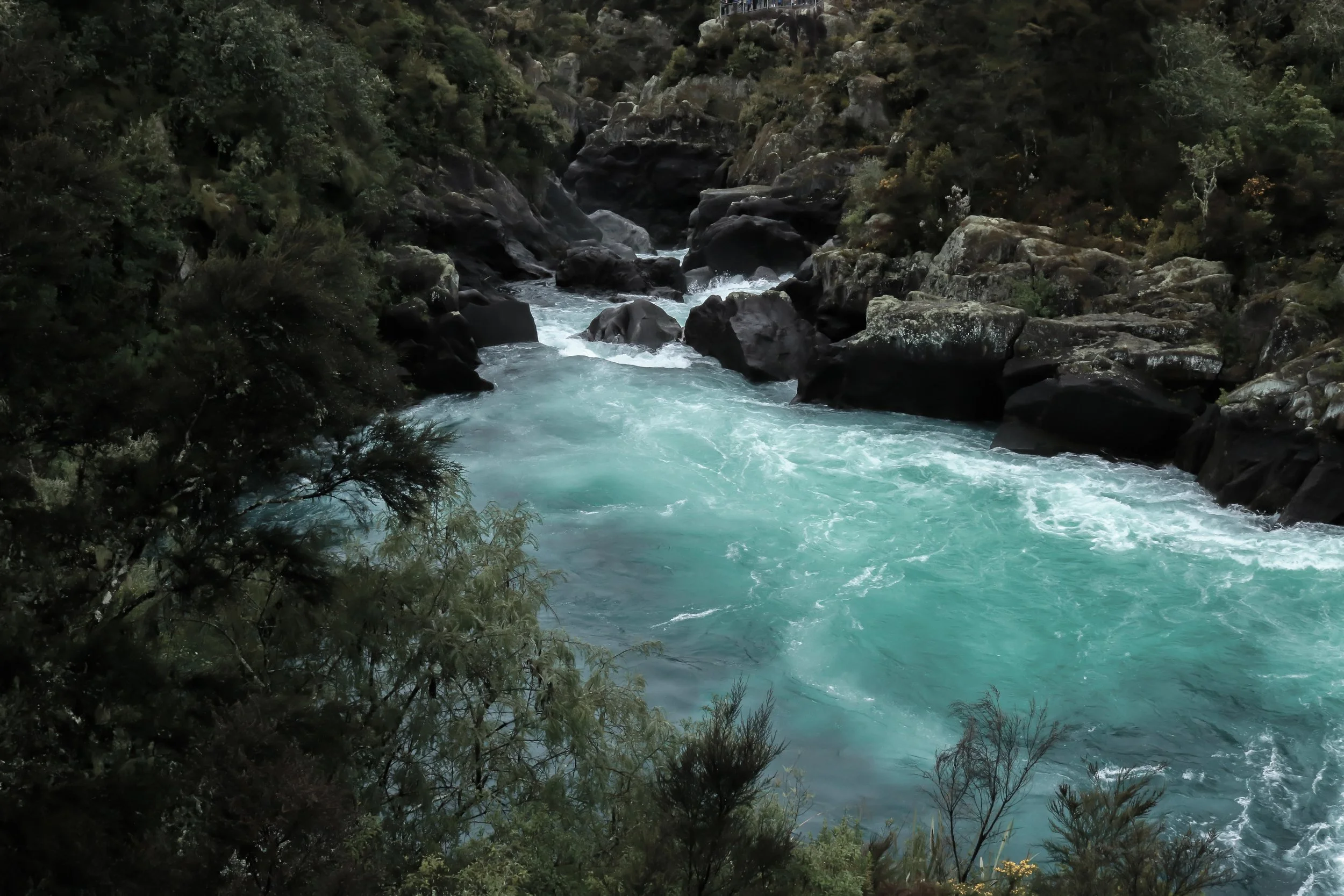 rapids.jpg
