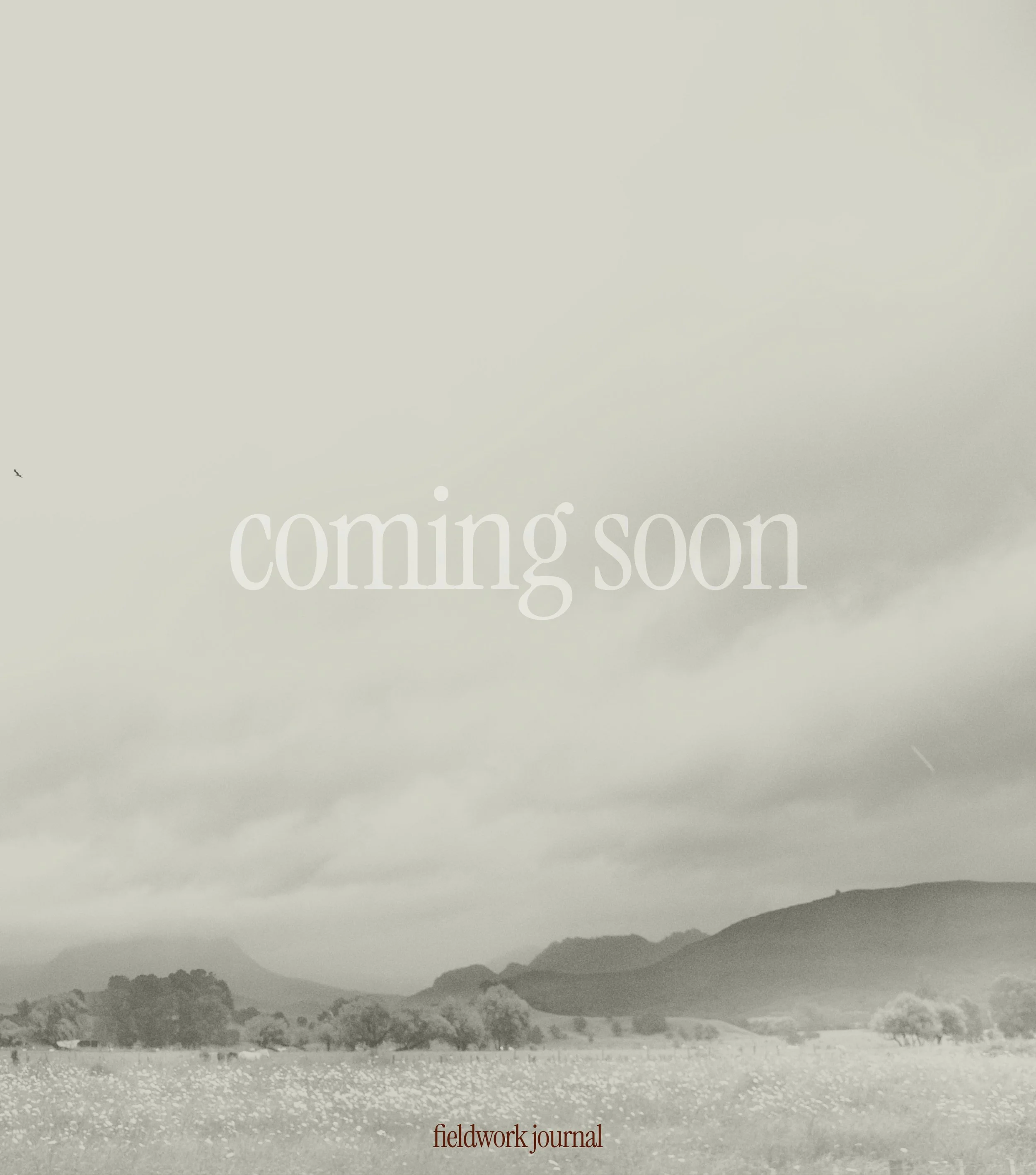 Issue 01 | Fracture